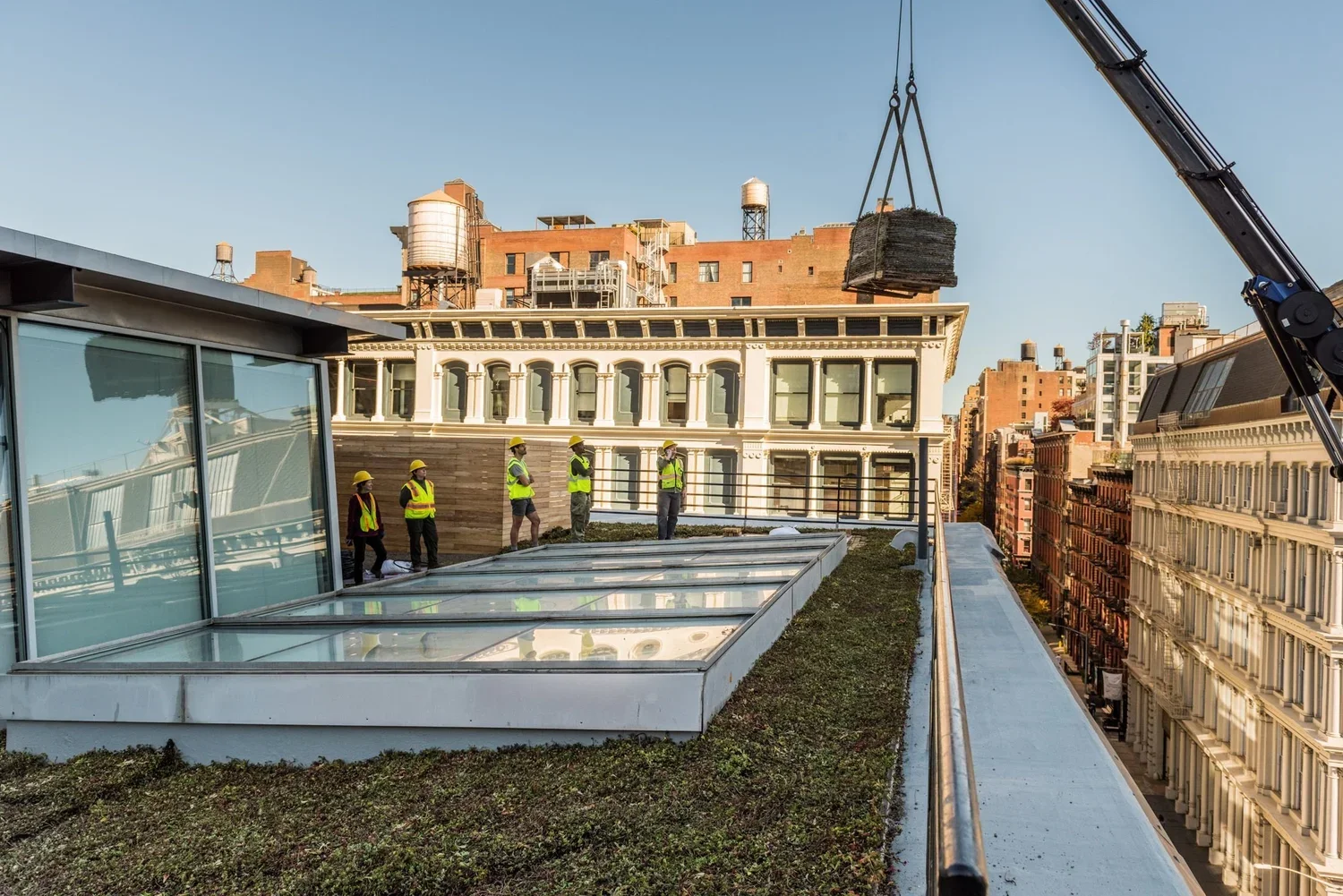 Soho Green Roof
