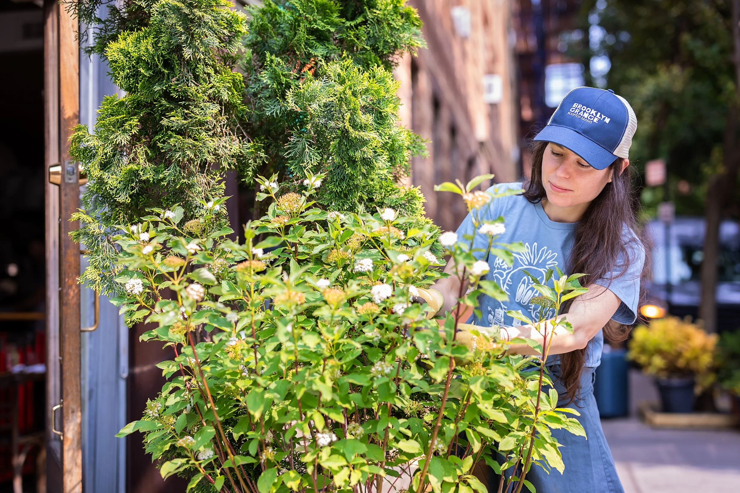 Jeffrey's Grocery-18.jpg