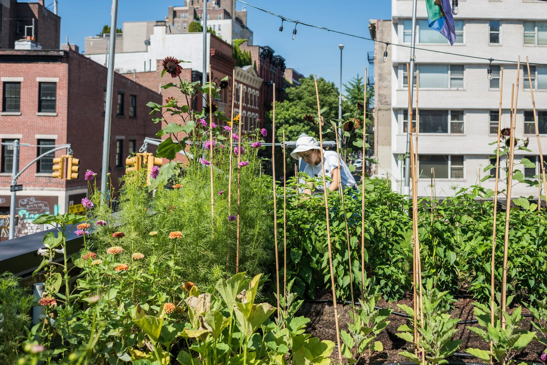 Rosemary's Restaurant Brooklyn Grange