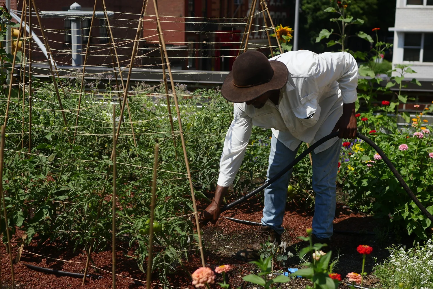 Rosemary's Restaurant Brooklyn Grange