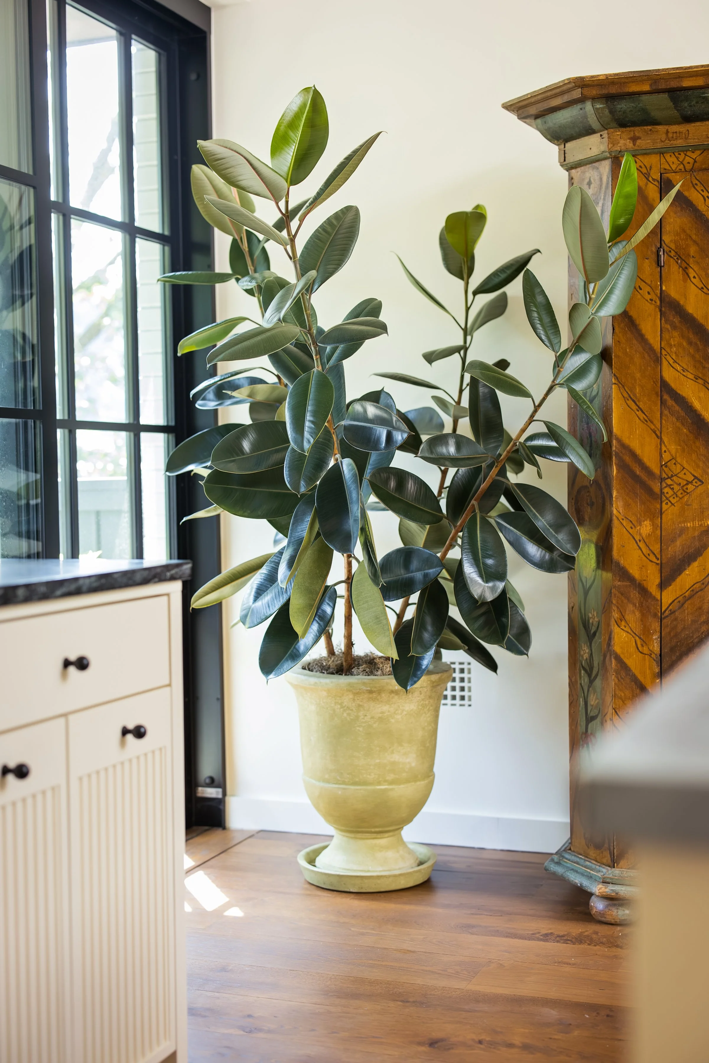 Wburg - 214 Frost St.-16.jpg