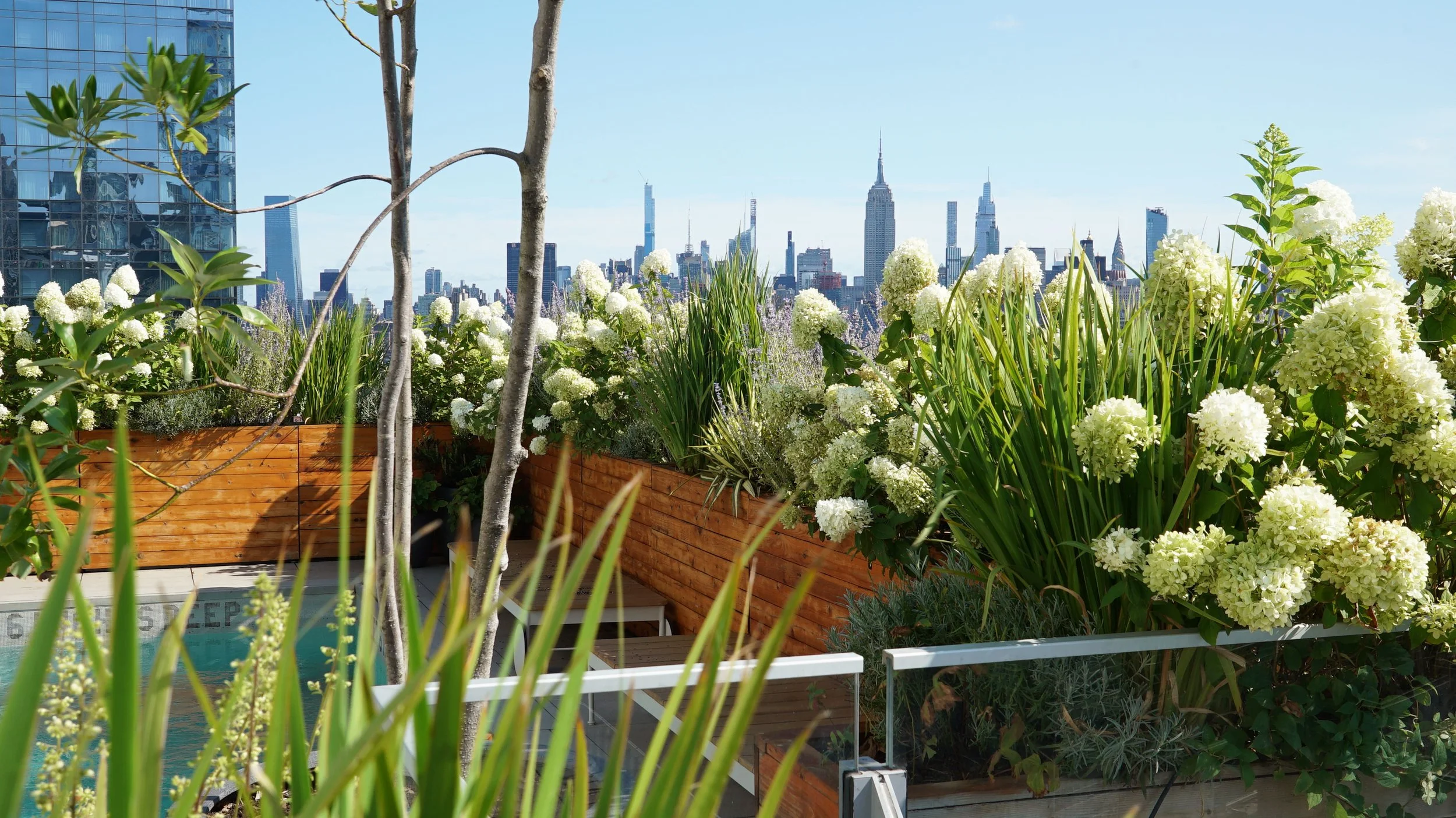 Broome Street Pool Deck