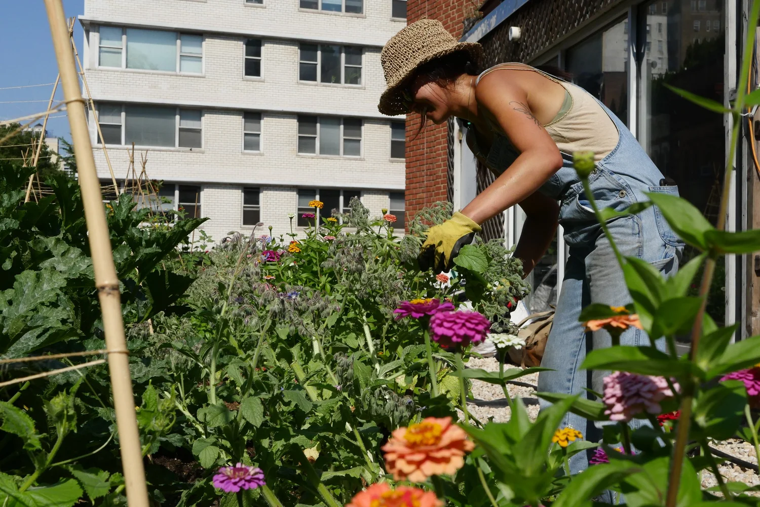 Rosemary's Restaurant Brooklyn Grange