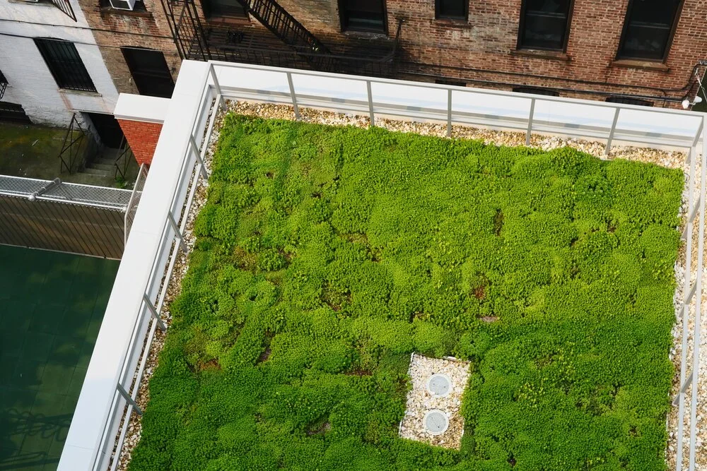 Mary McDowell School