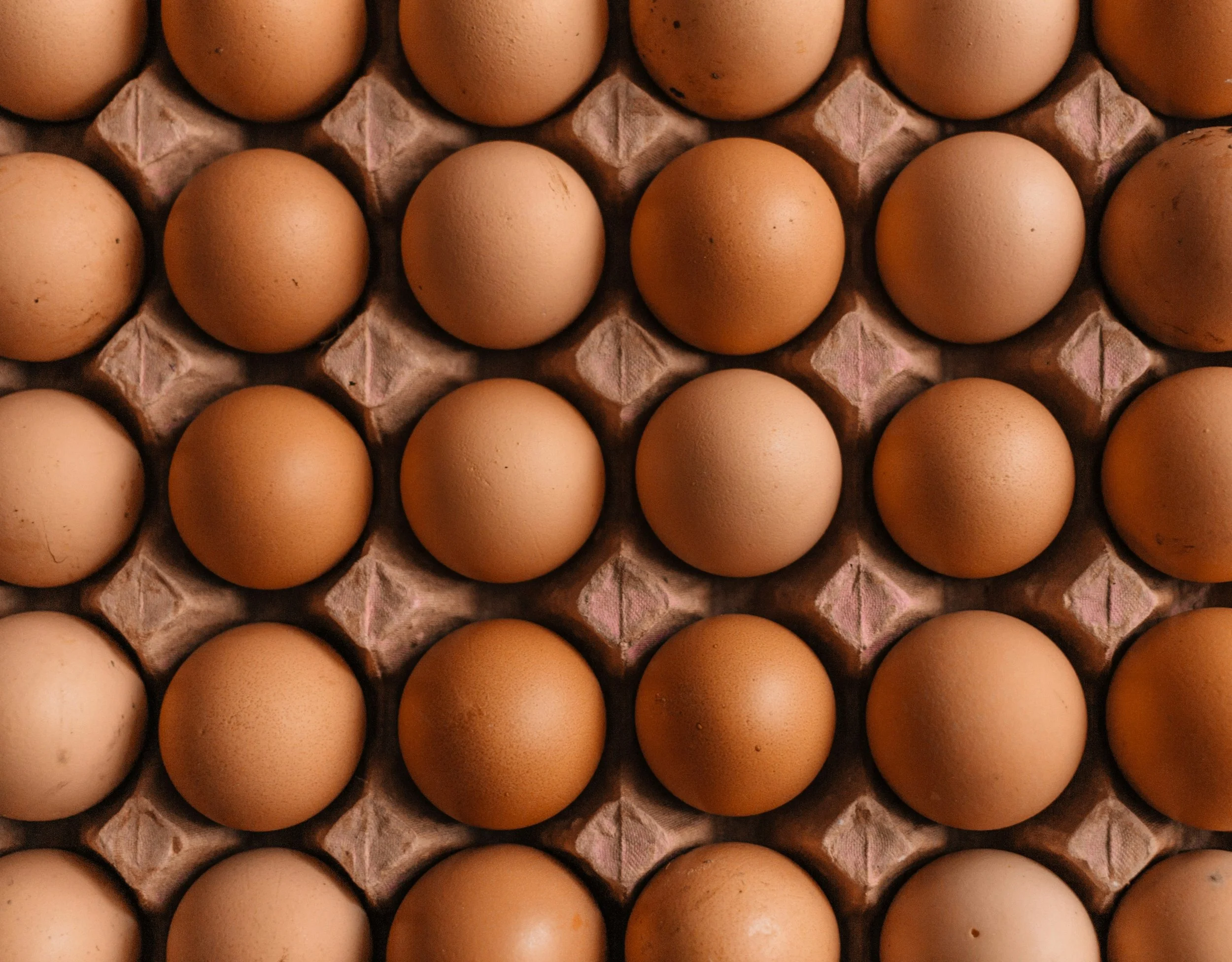 A tray of brown chicken eggs arranged in rows.