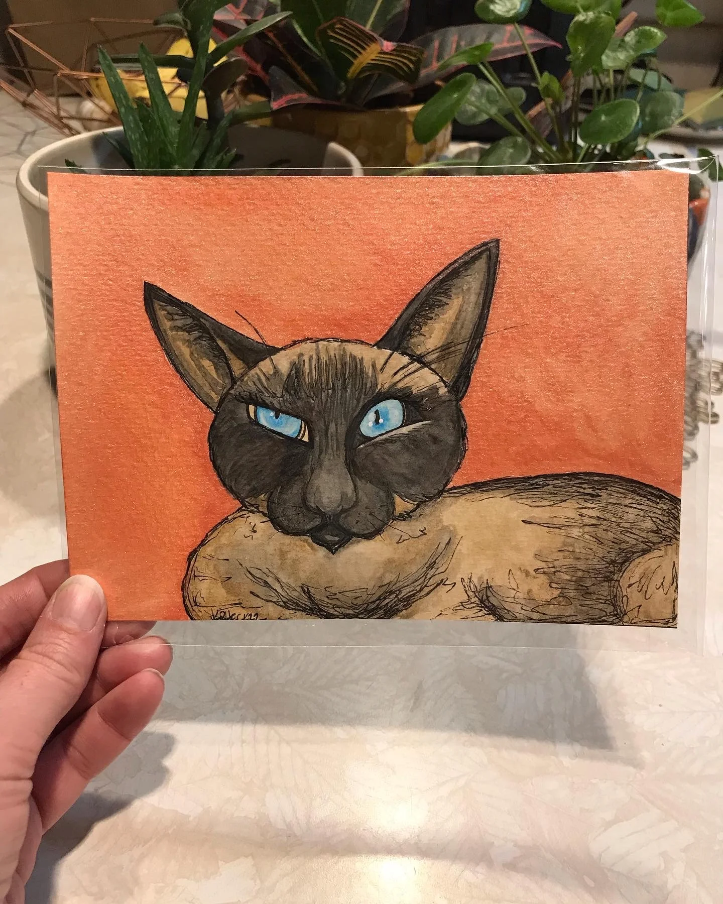 Grumpy Kitty watercolor portrait- also fundraiser piece