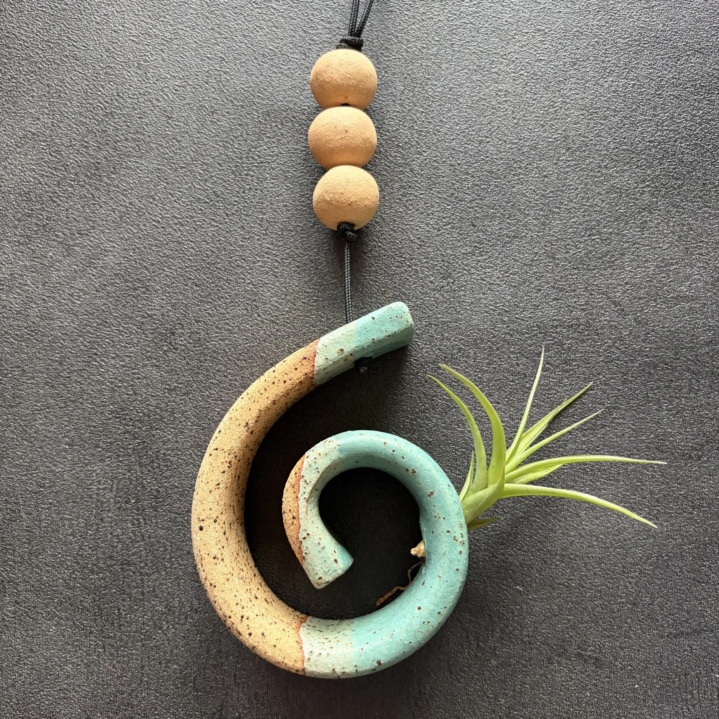 koru planter
