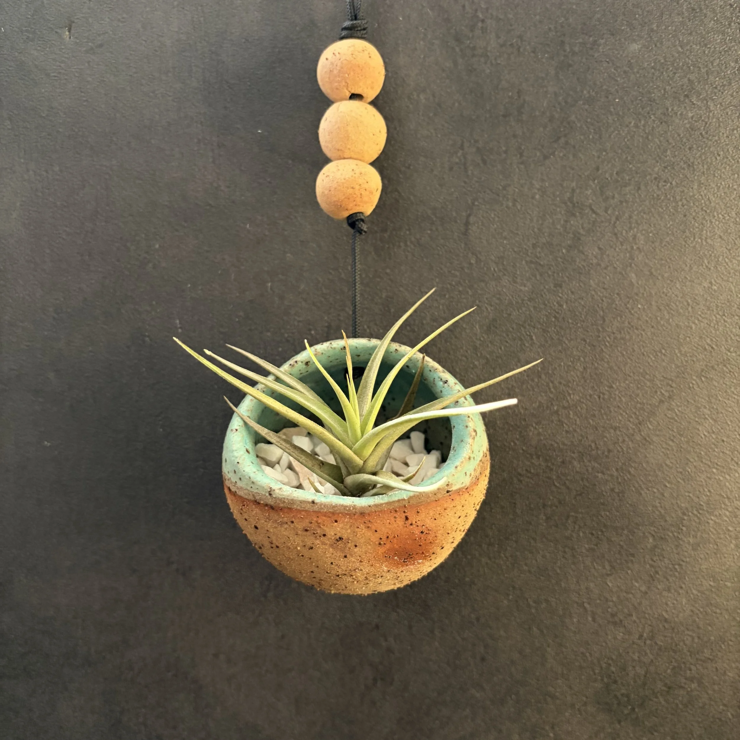 medium hanging planter . 971