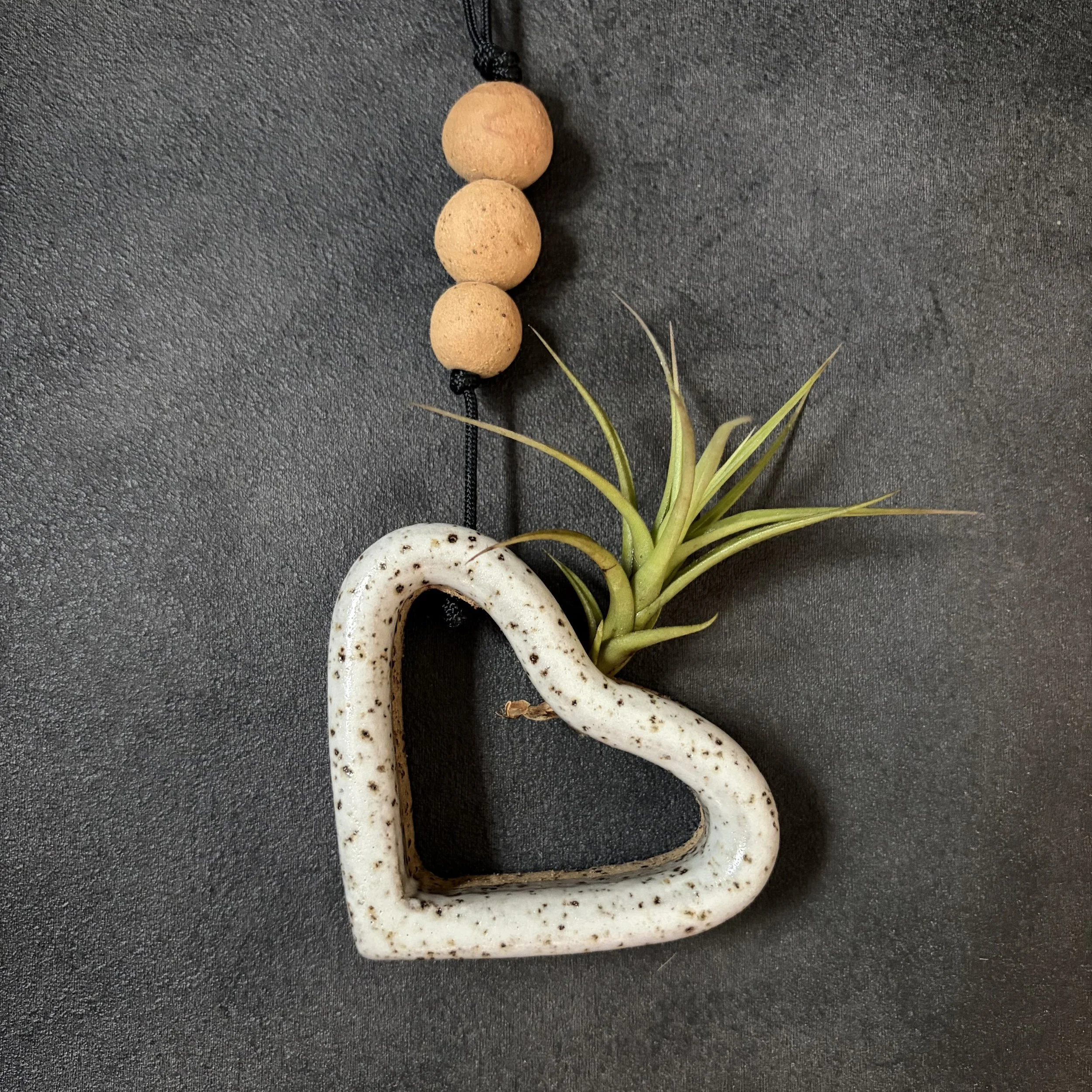 mini heart with airplant . 859