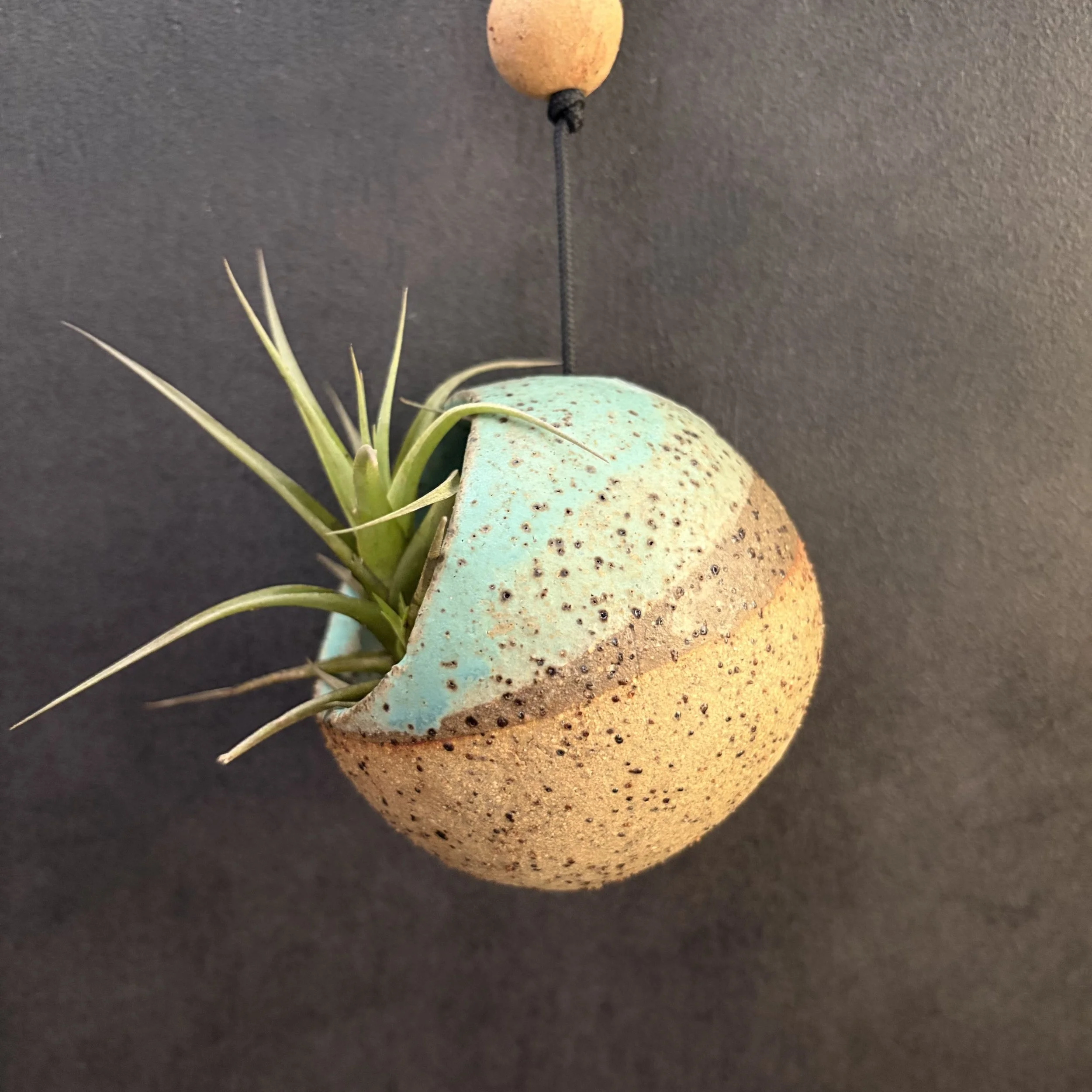 large hanging planter . 972