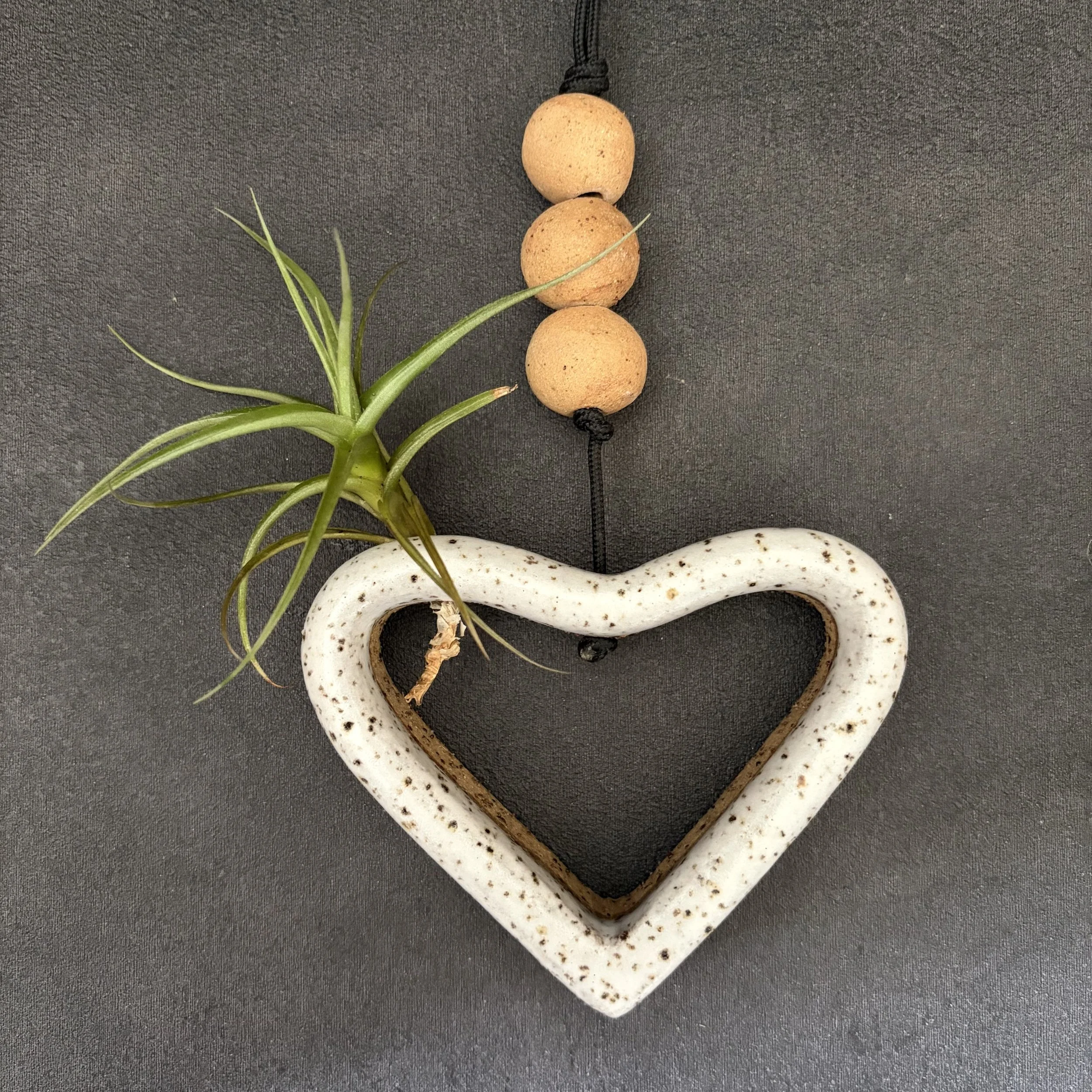 small heart with airplant . 825