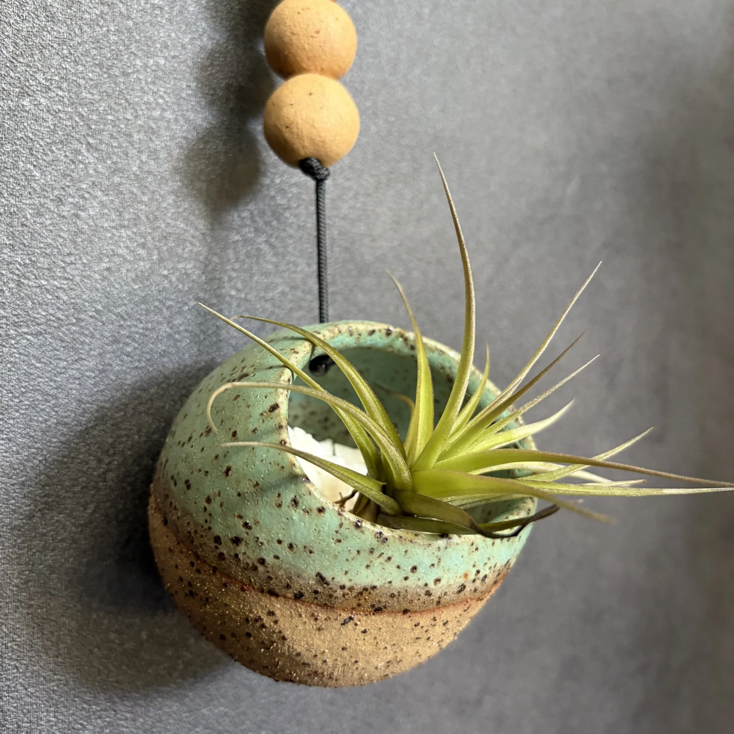 large hanging planter . 873