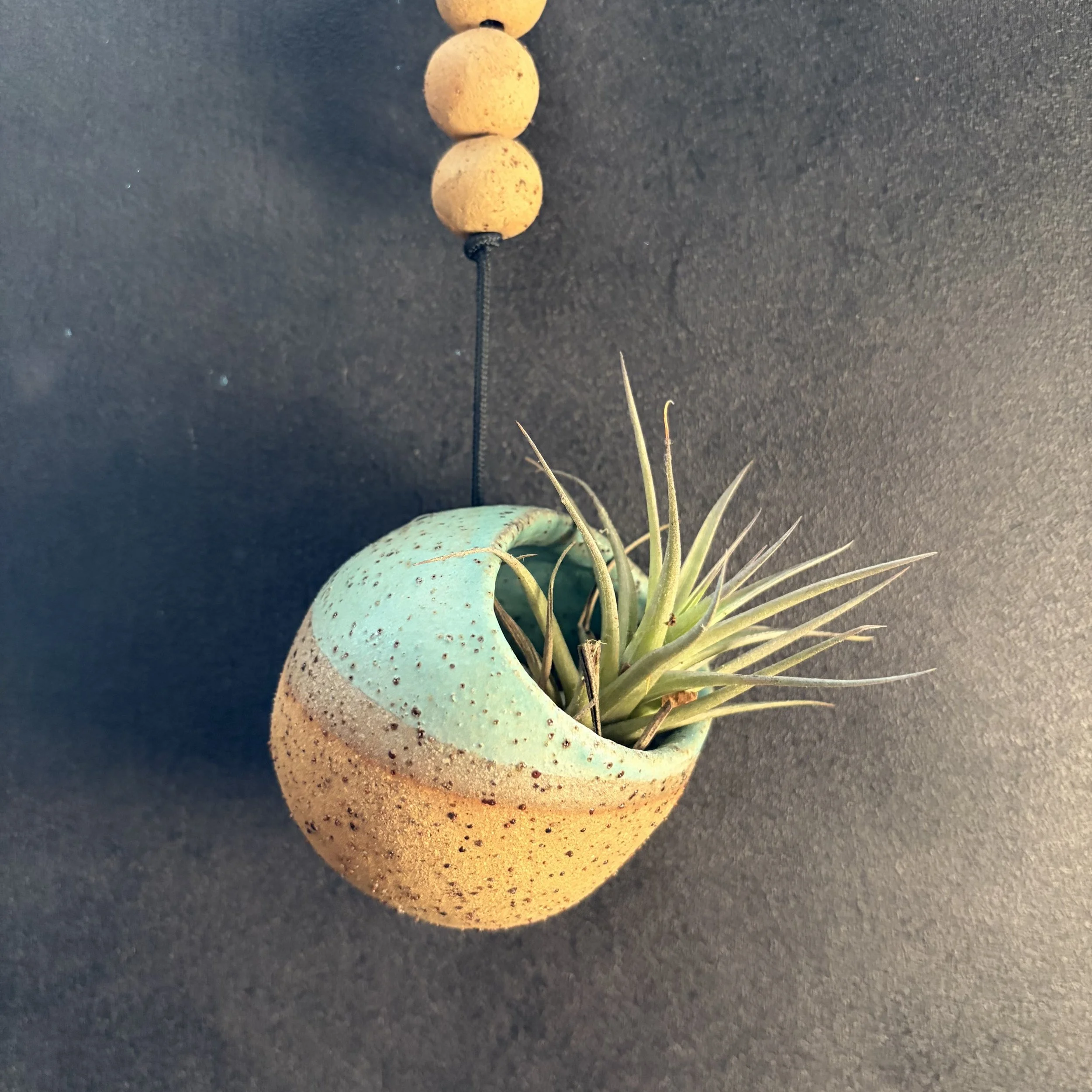 medium hanging planter . 973