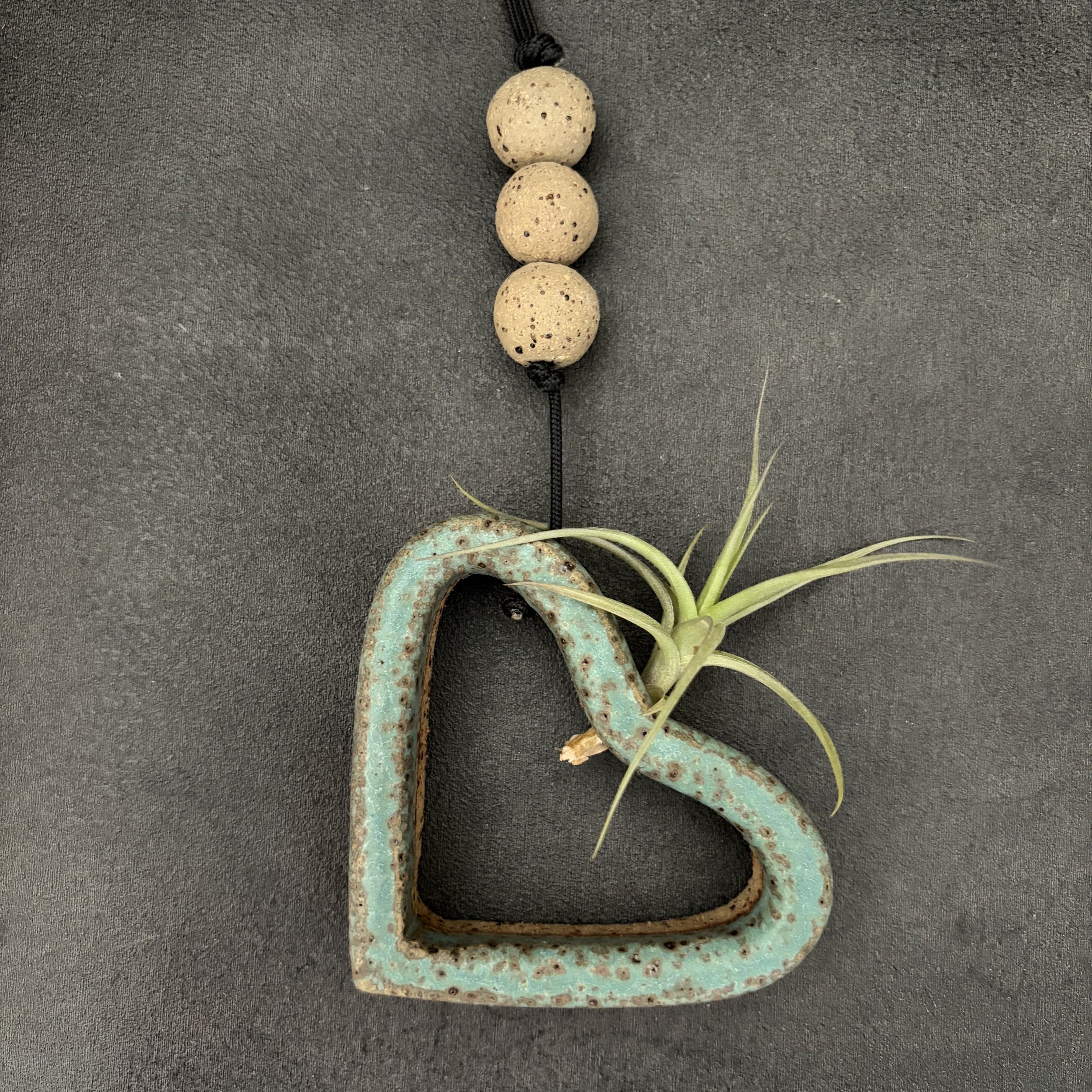 small heart with airplant . 808