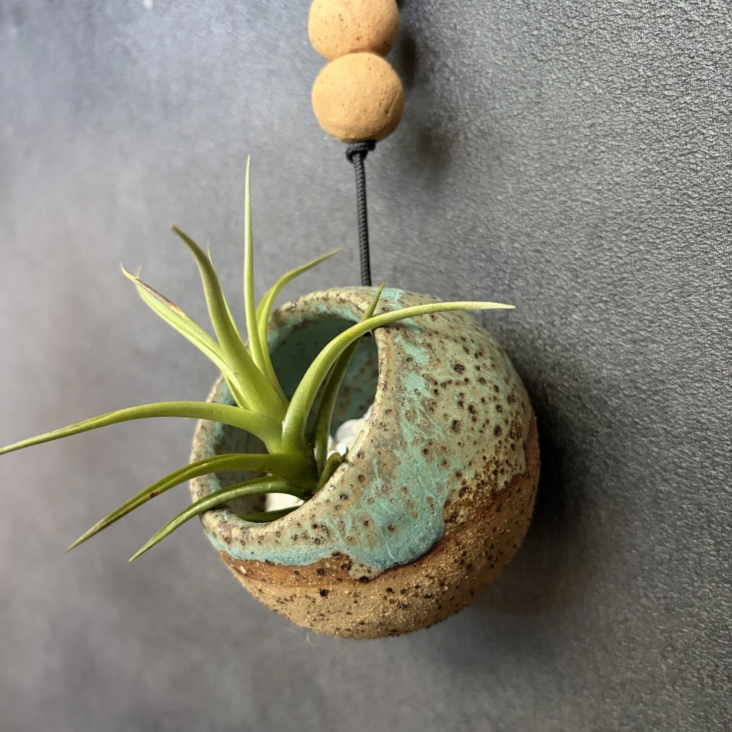 medium hanging planter . 872