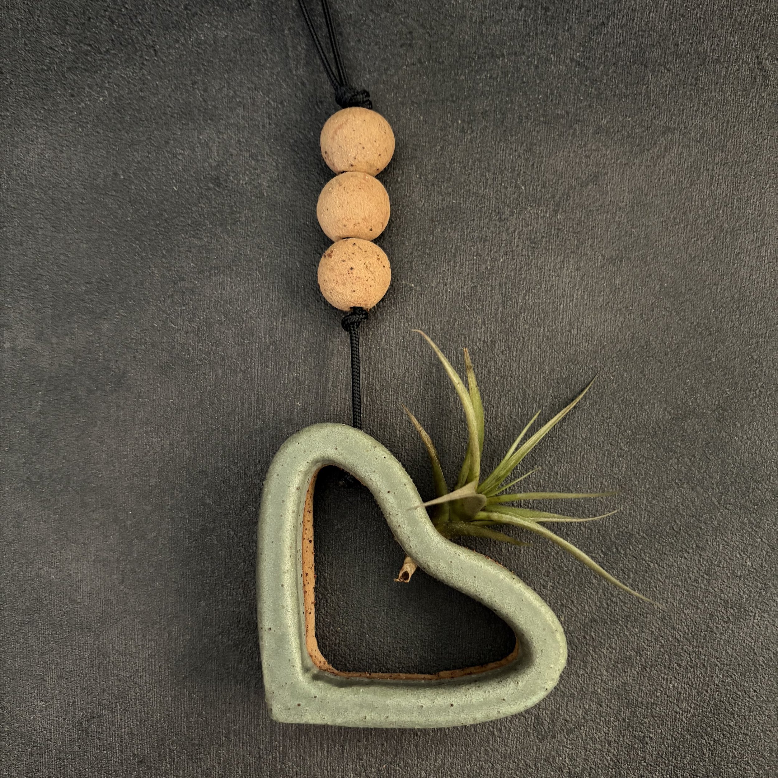 IMG_7595.jpeg