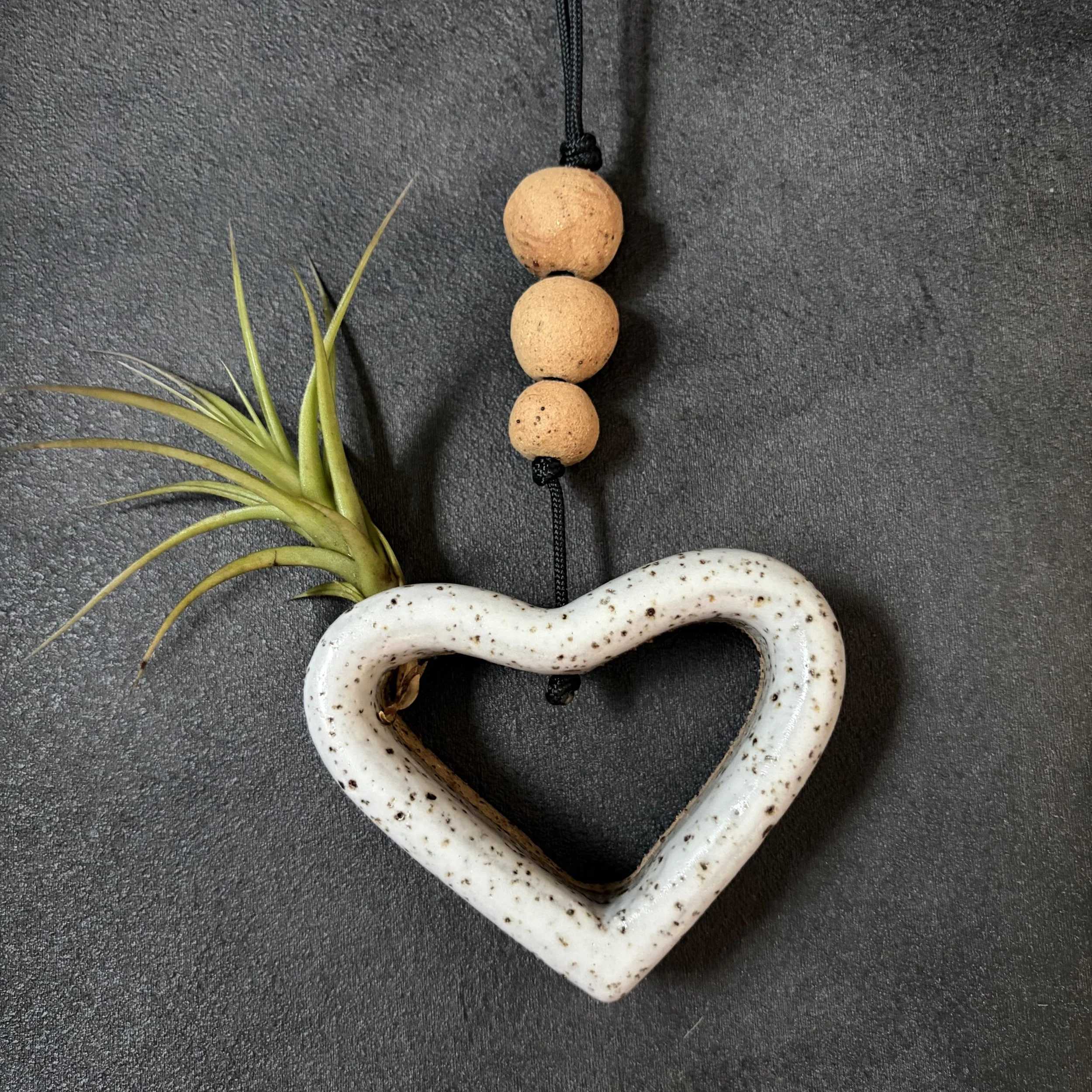 mini heart with airplant . 858