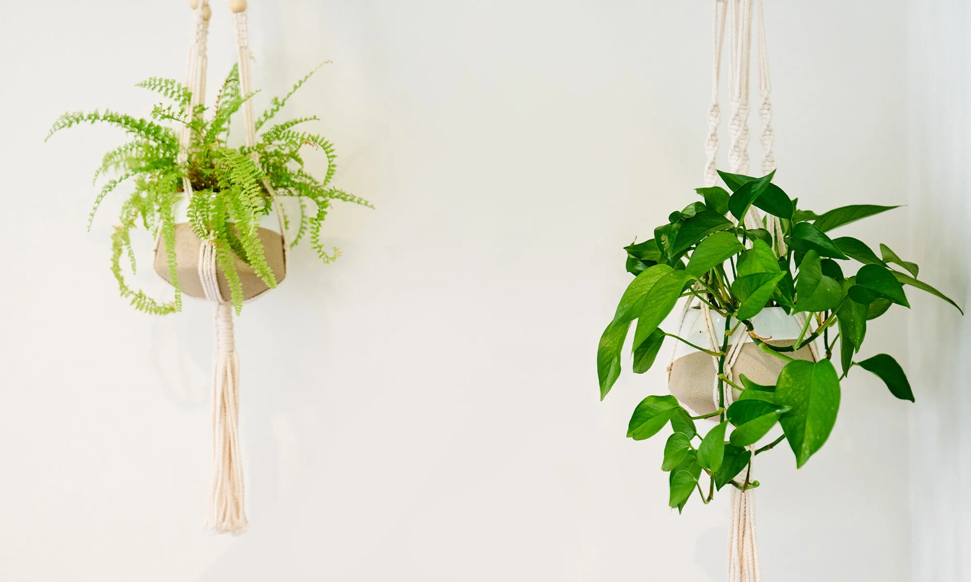 Pregnant — Blog — Back Bay Health