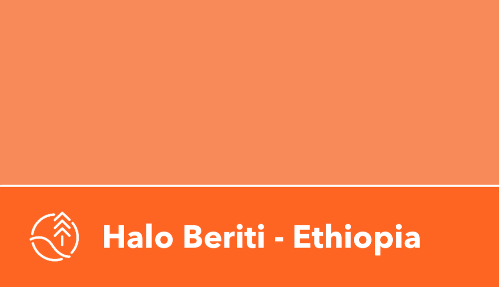 ethiopia.png