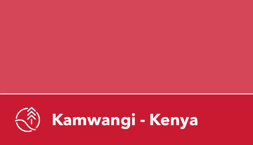 kenya.png