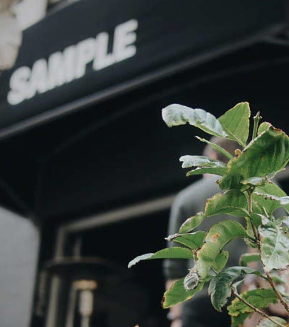sustainable-surryhills-coffeetree.jpg