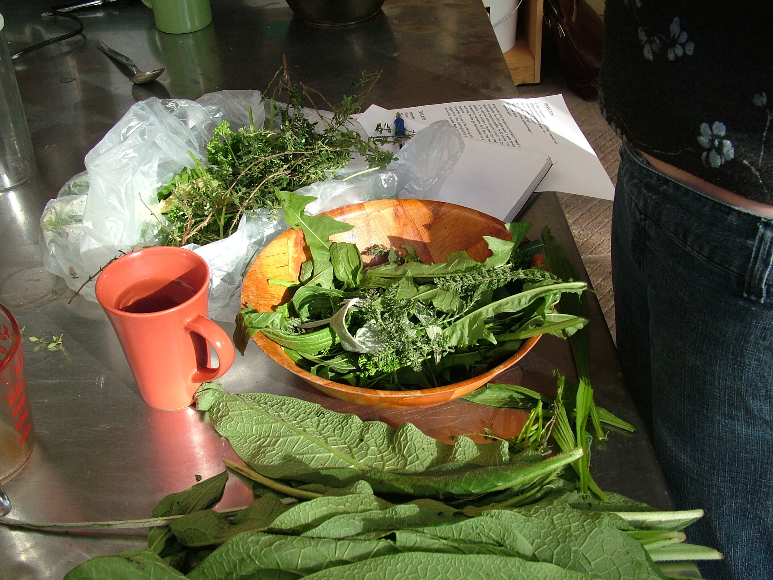 preparing herbs 