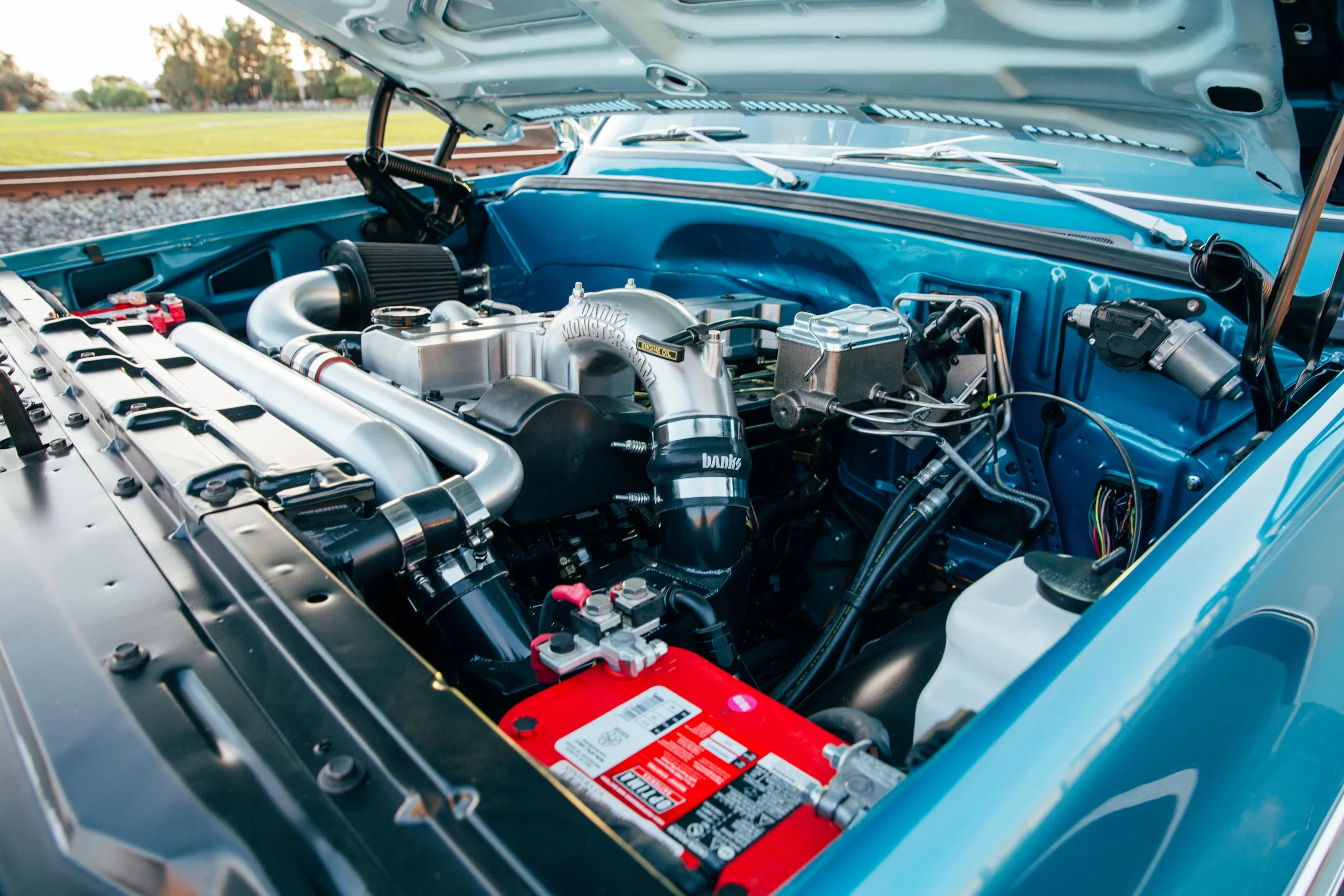 Elwoodthedually-5.jpg