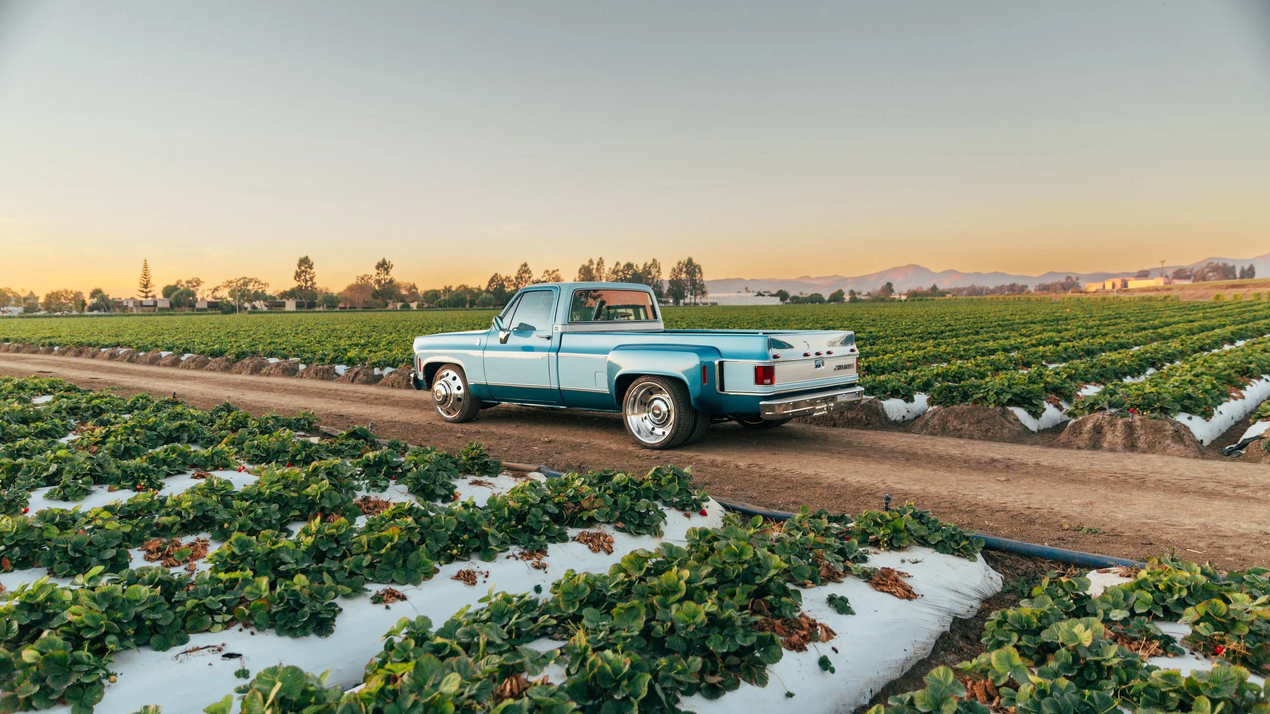 ELWOOD-the fancy farm truck-27.jpg