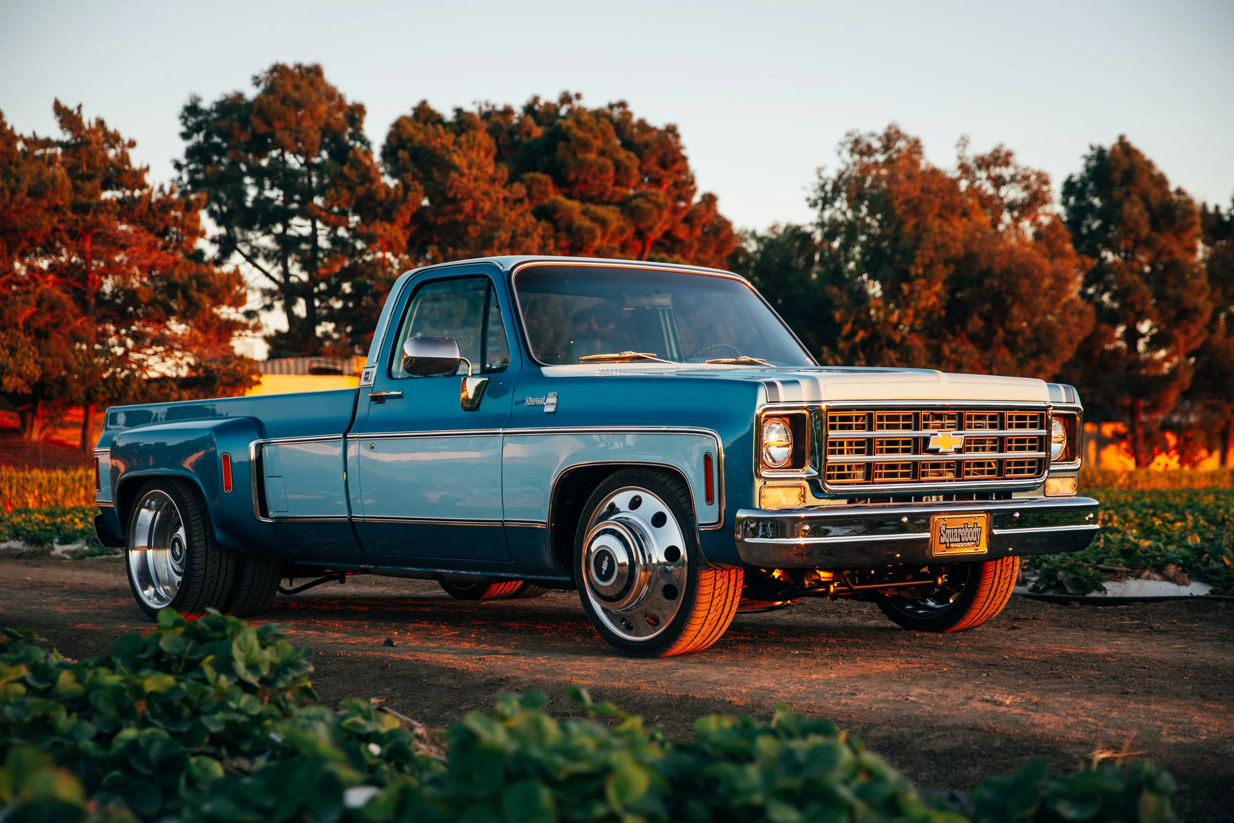 ELWOOD-the fancy farm truck-1.jpg
