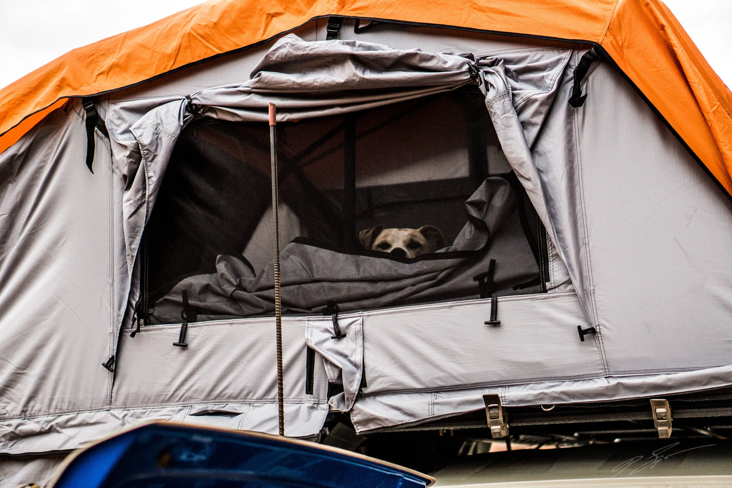 Warm and comfy. And praying for bacon of course.