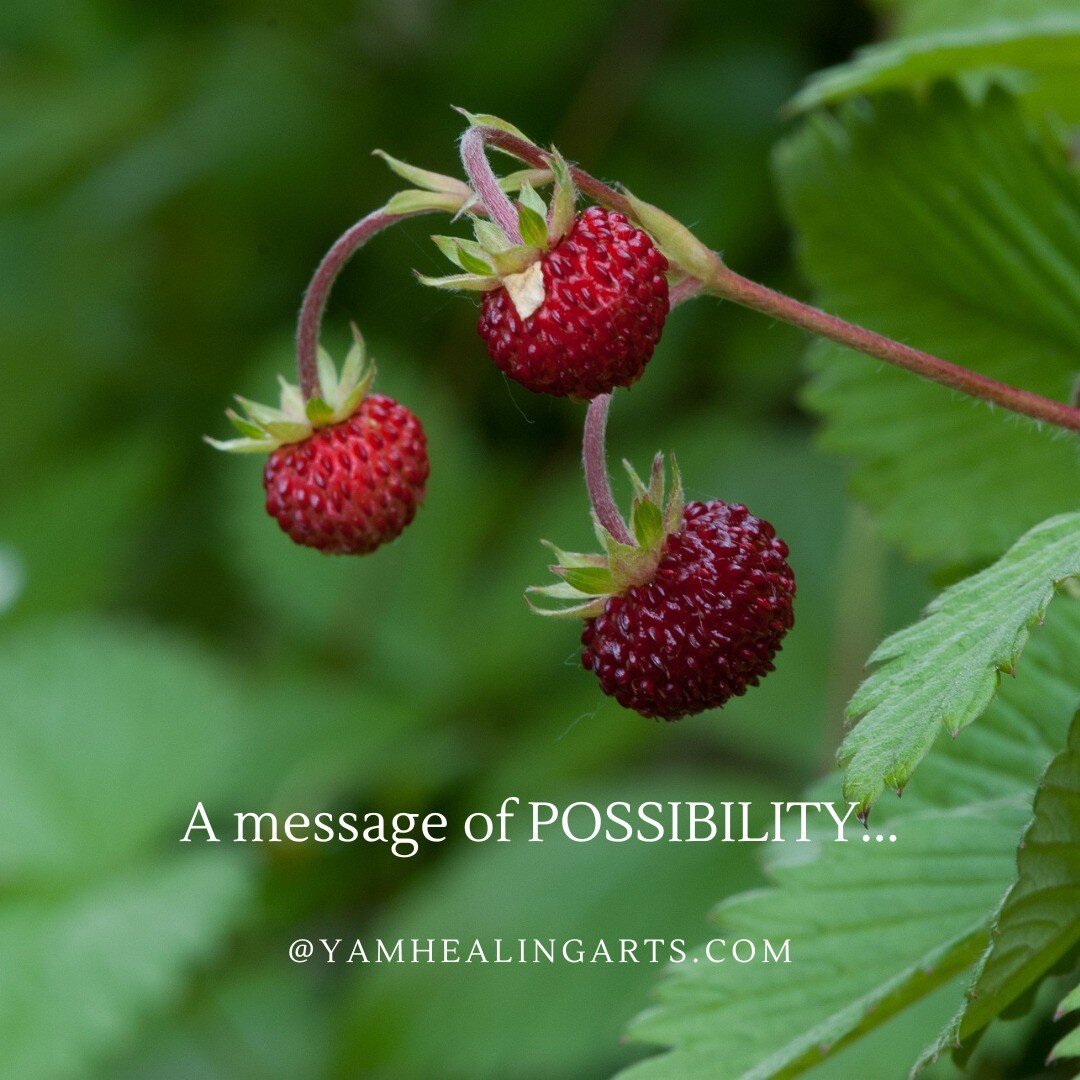 An excerpt from my most recent newsletter exploring the energy shift into the SECOND HALF OF SPRING...
&quot;Do you ever notice the subtle energies of seasons within seasons? As a reminder from the previous letter on Spring, this is a season that is 