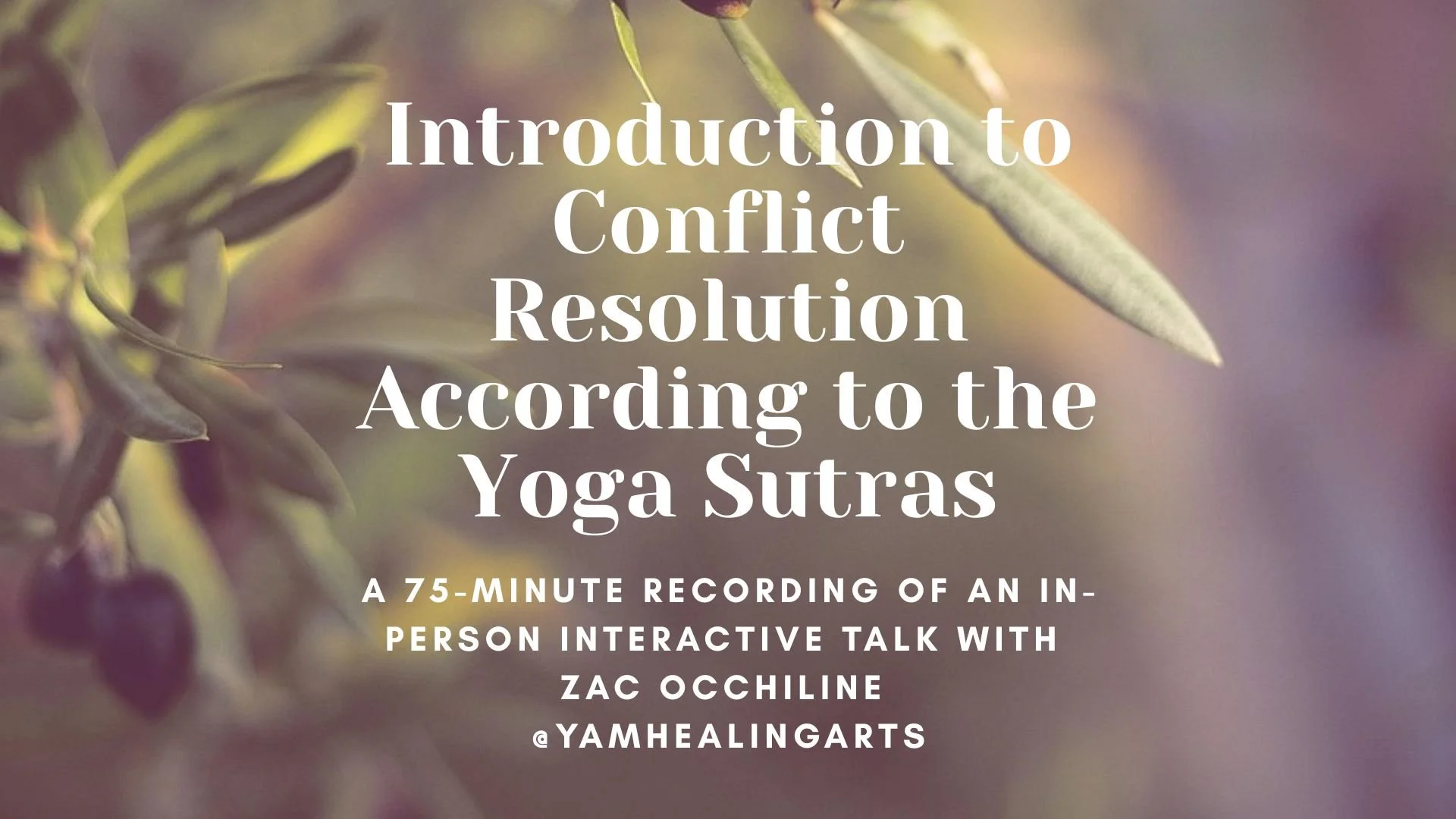 (75min) Conflict Resolution According to the Yoga Sutras