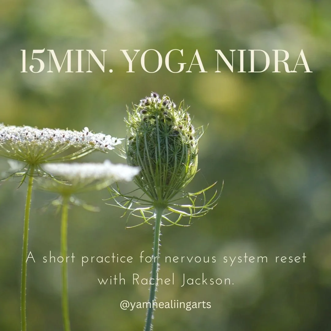 yoga nidra.jpg