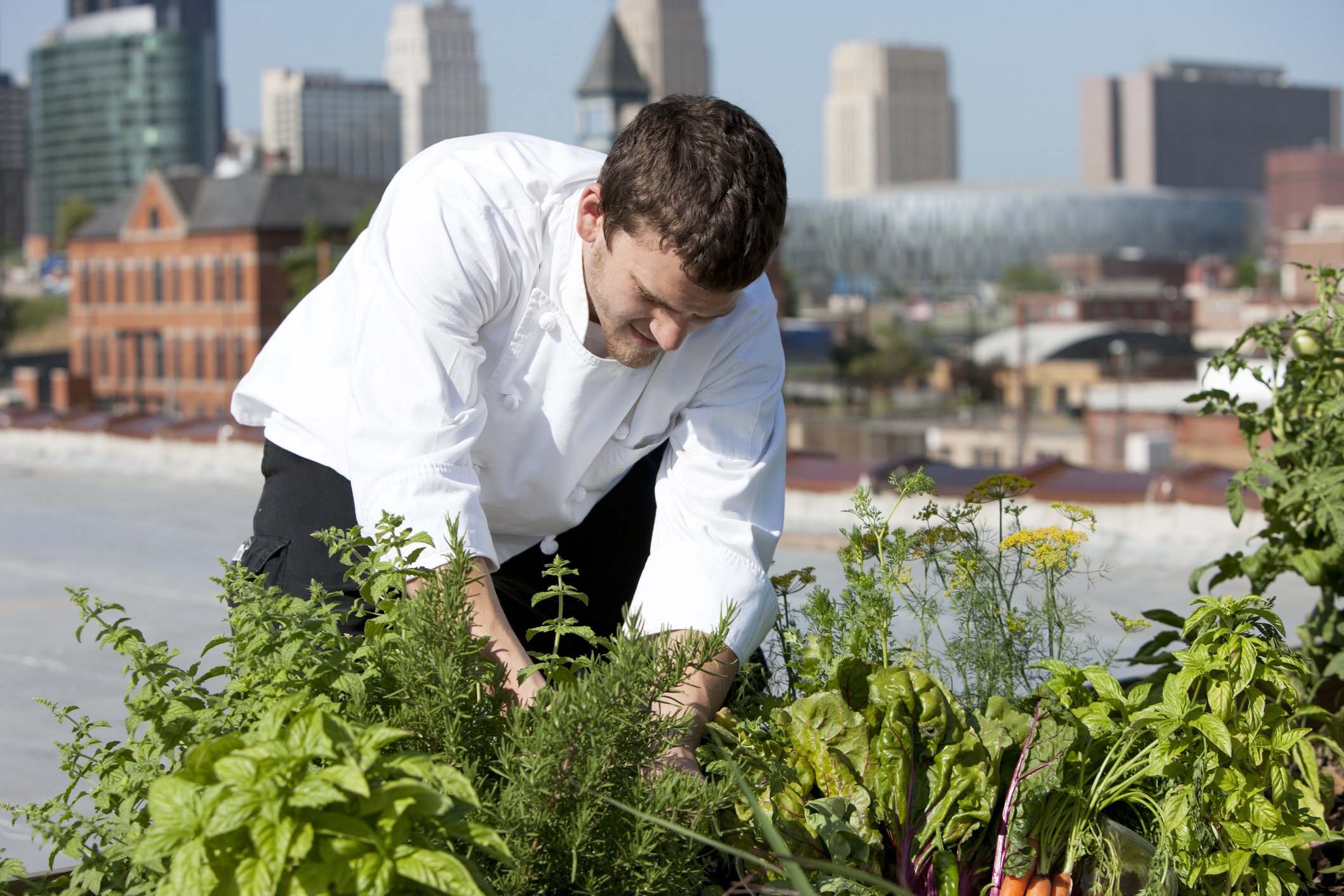 Go Green and Go Home: Top 5 Cities Cultivating Urban Gardening