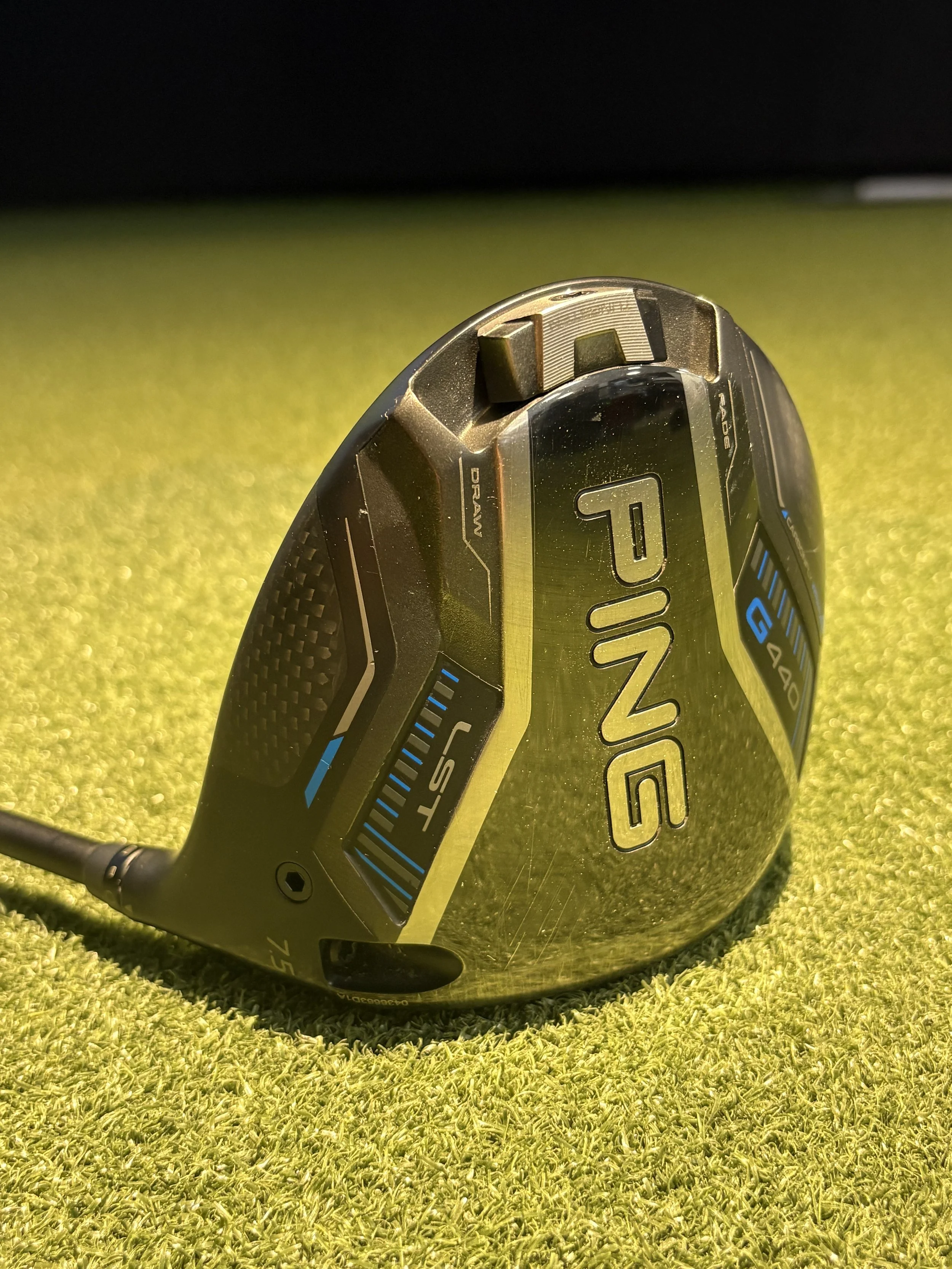IMG_6430.jpg