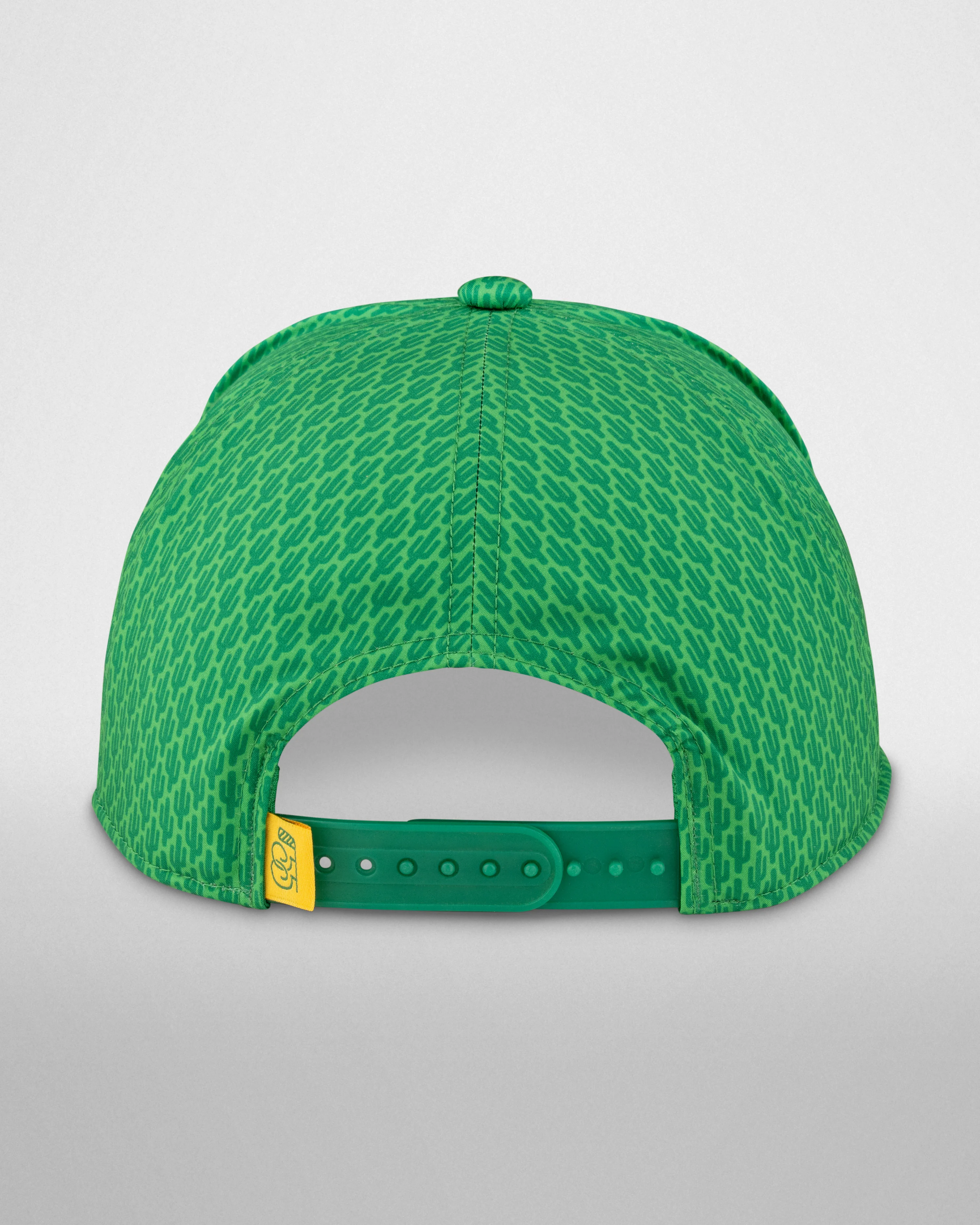cactus1.png