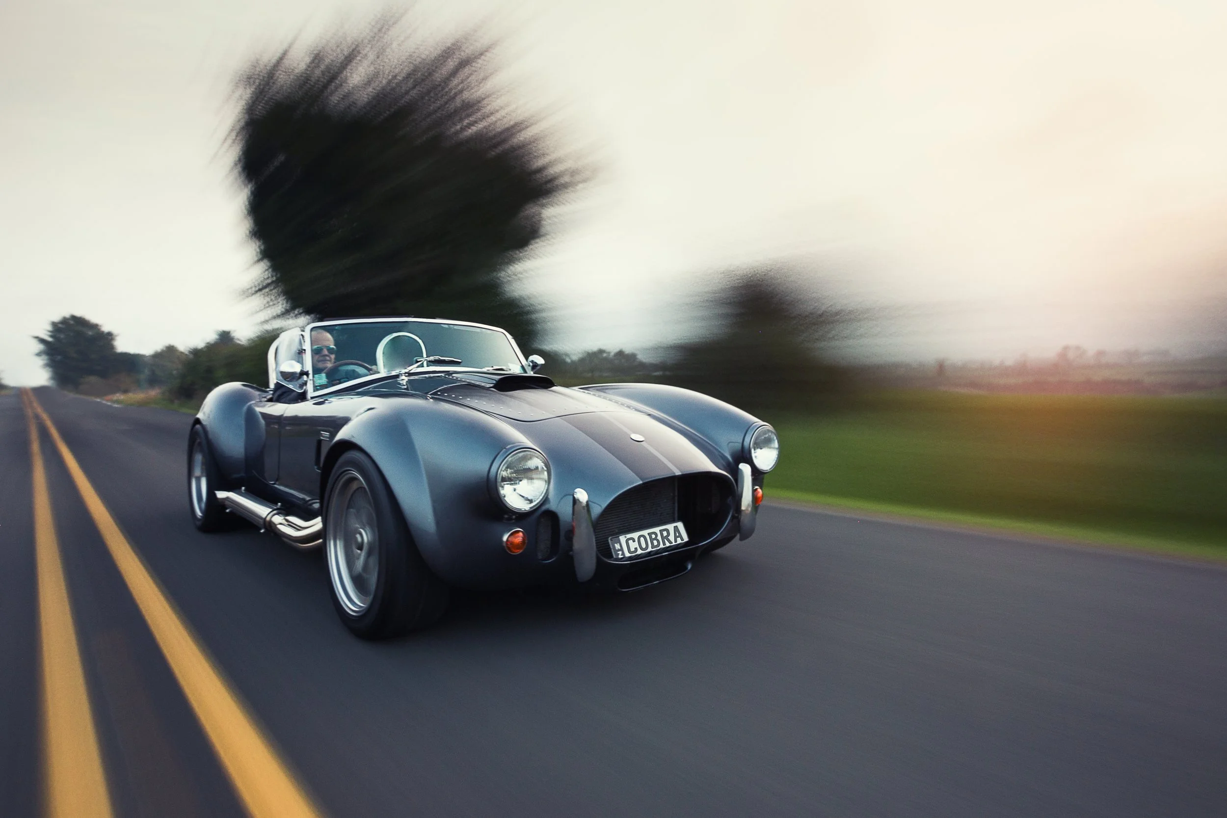 Cobra.jpg