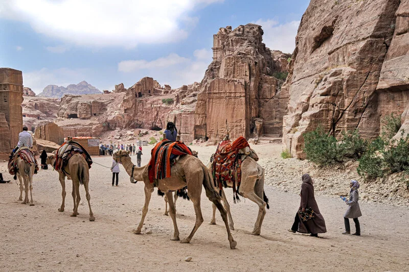 Petra Caravan, Jordan