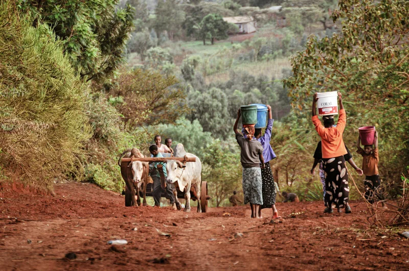 Children at Work, Ngorongoro, Tanzania