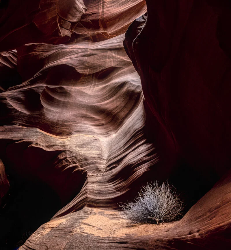 Slot Canyon and Tumbleweed, Arizona