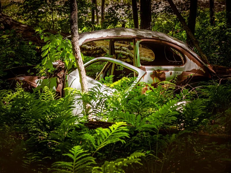 Forgotten