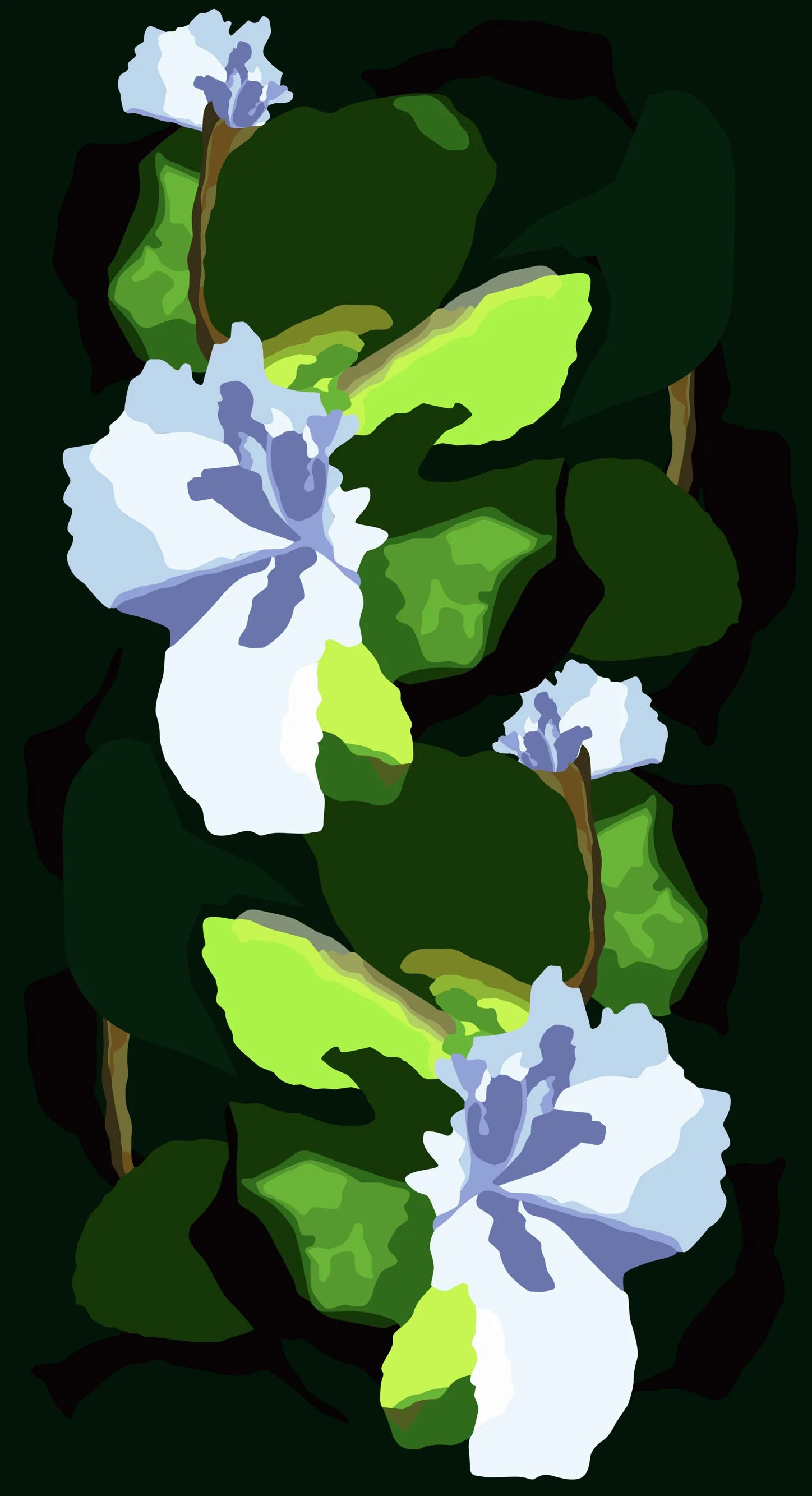 green_bauhinia.jpg