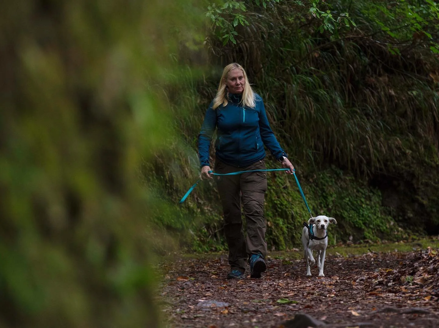 Dog wear design #sampletesting #gotosportwear #dogharnesses #sustainable #seaqual #safethesea