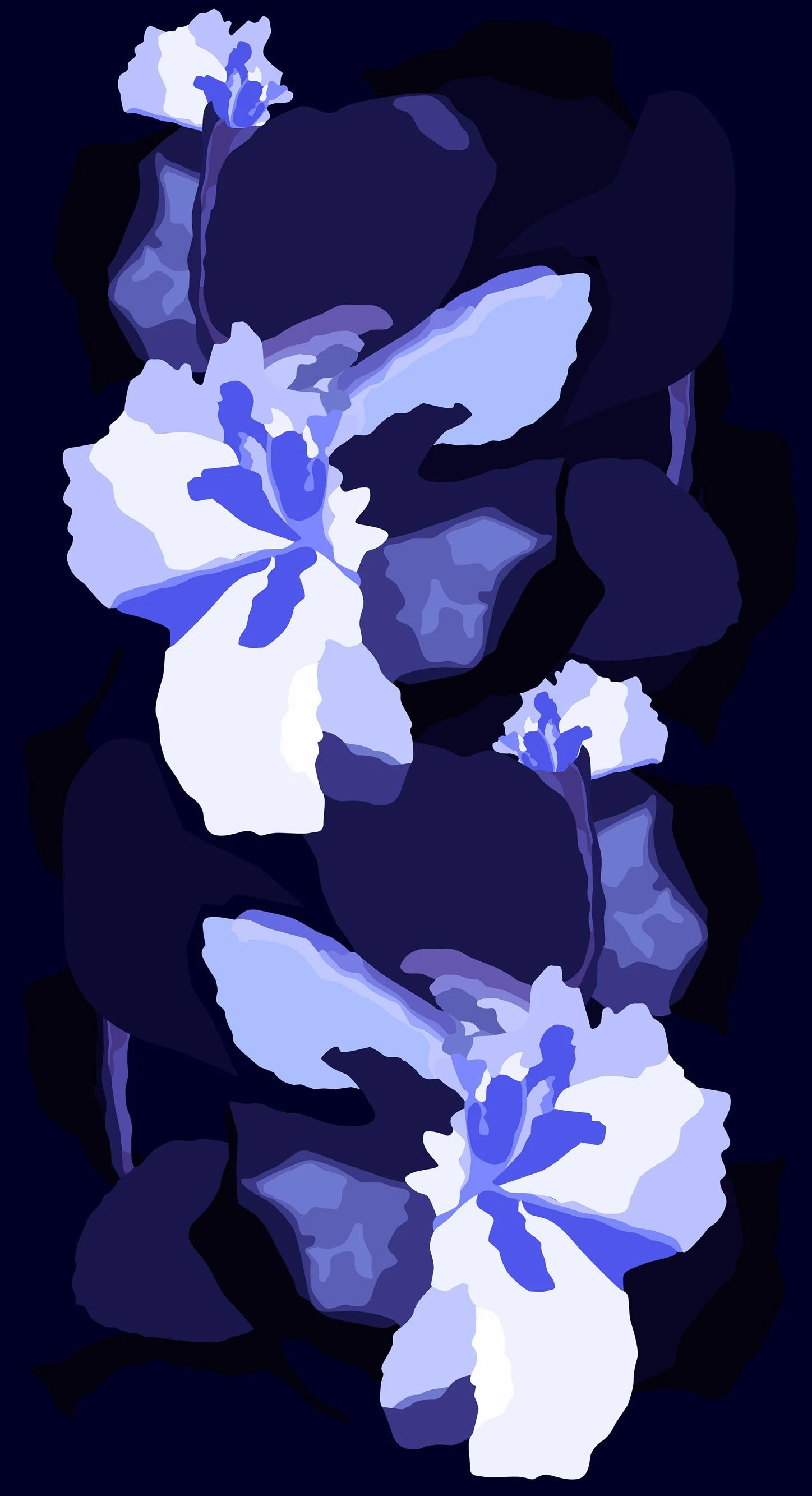 blue_bauhinia.jpg