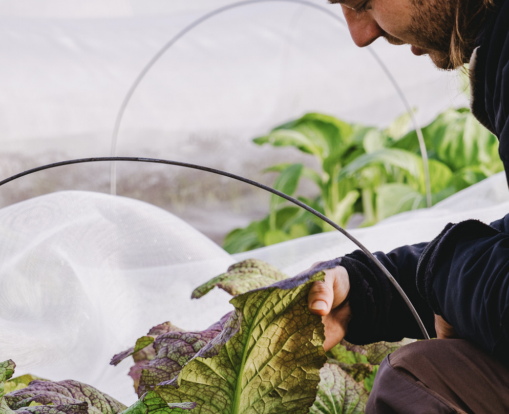 Screenshot 2026-04-20 at 14.49.53.png