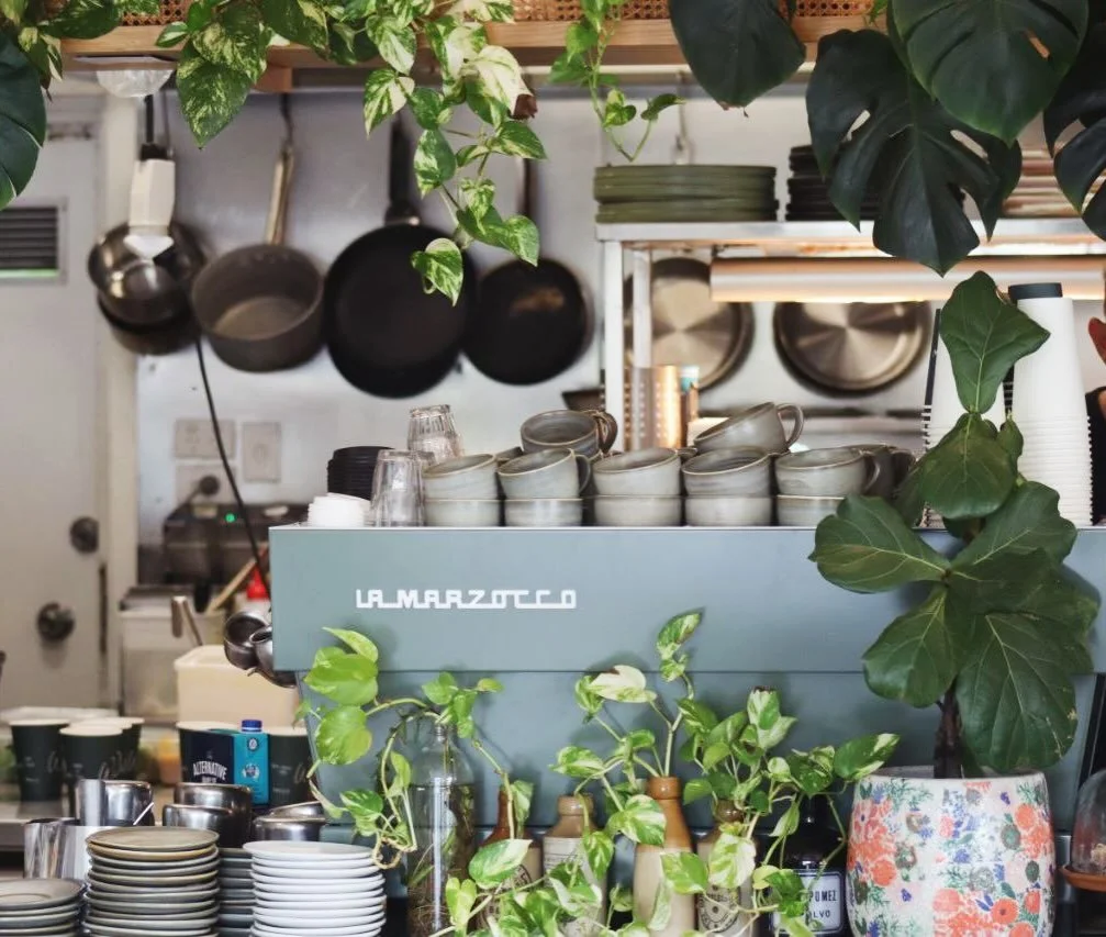 Our new coffee machine fits right in 🌱

&mdash;&mdash;&mdash;&mdash;
#brisbaneeats #willowcafe #brisbanecoffee
