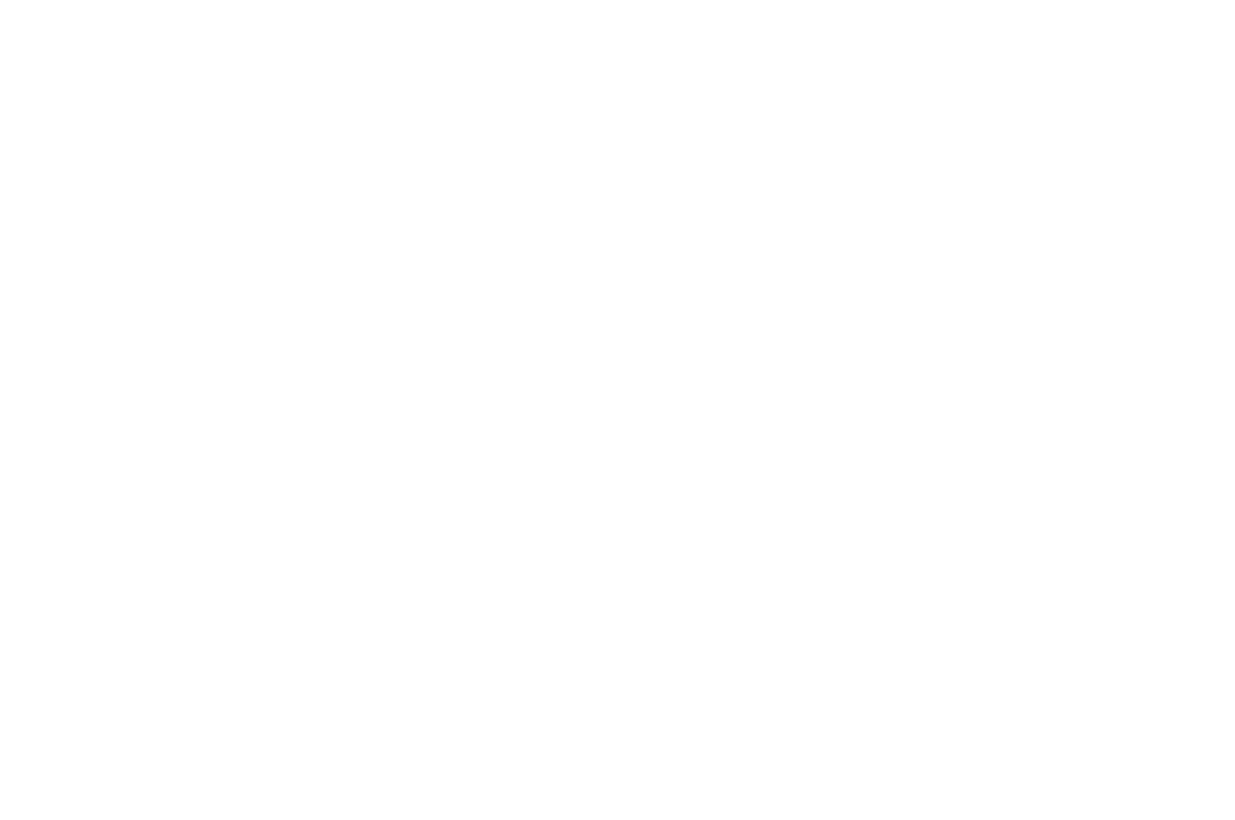 NOMINEE - Melbourne International CINEVERSE Film Festival - 2026.png