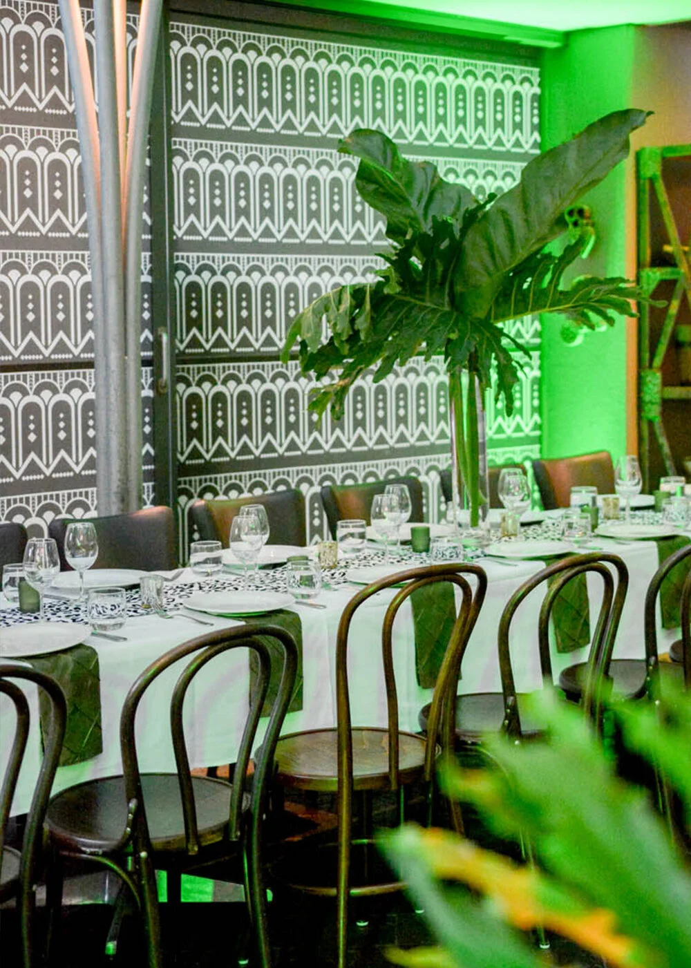 Corporate-Jungle-Fever-Feature-Shot-2.jpg