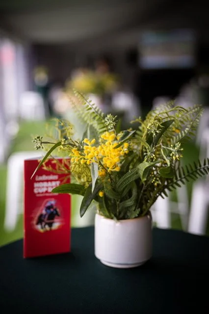 TR_Hobart_Cup_2025_0002.jpg