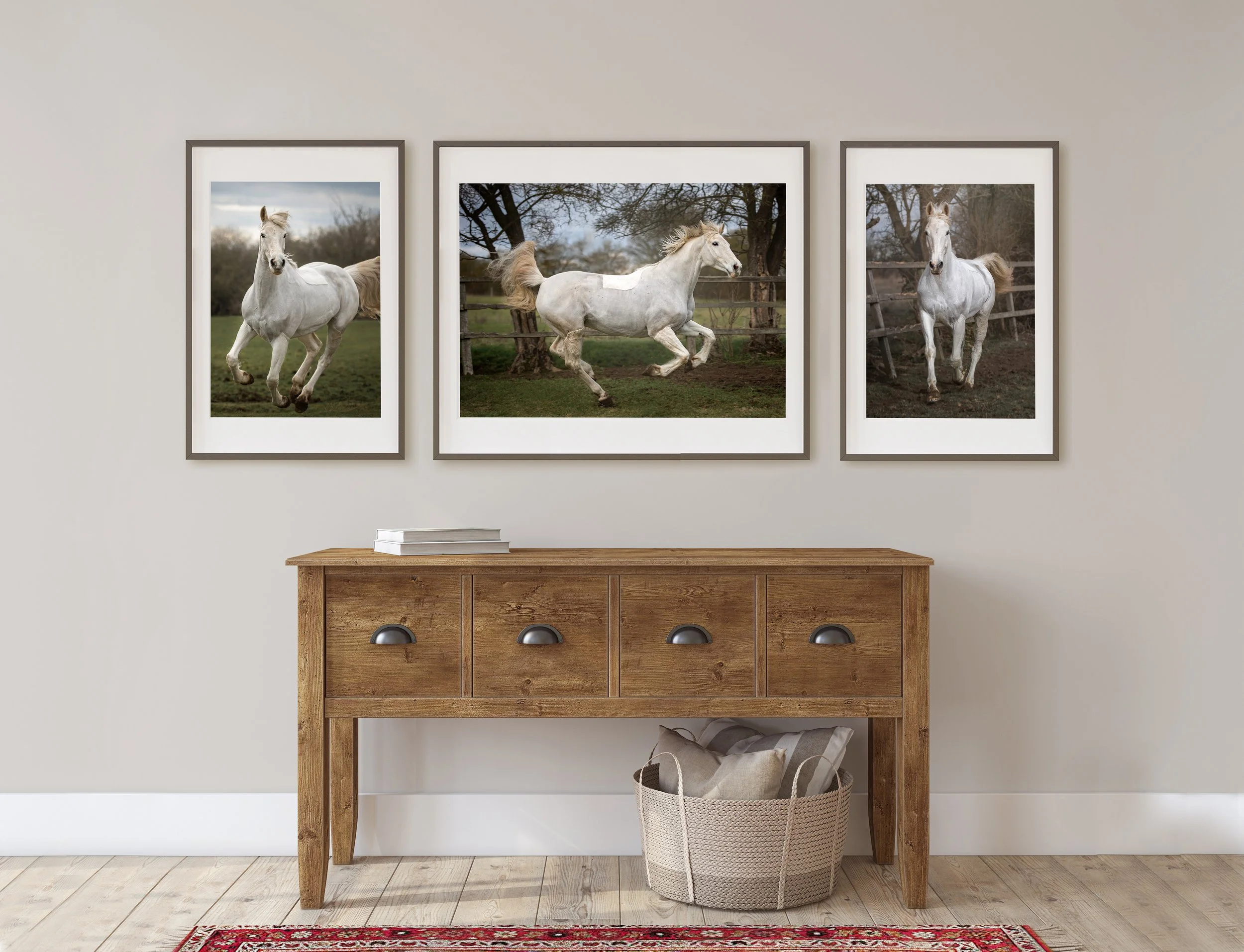 AdobeStock_250017480 copy.jpg